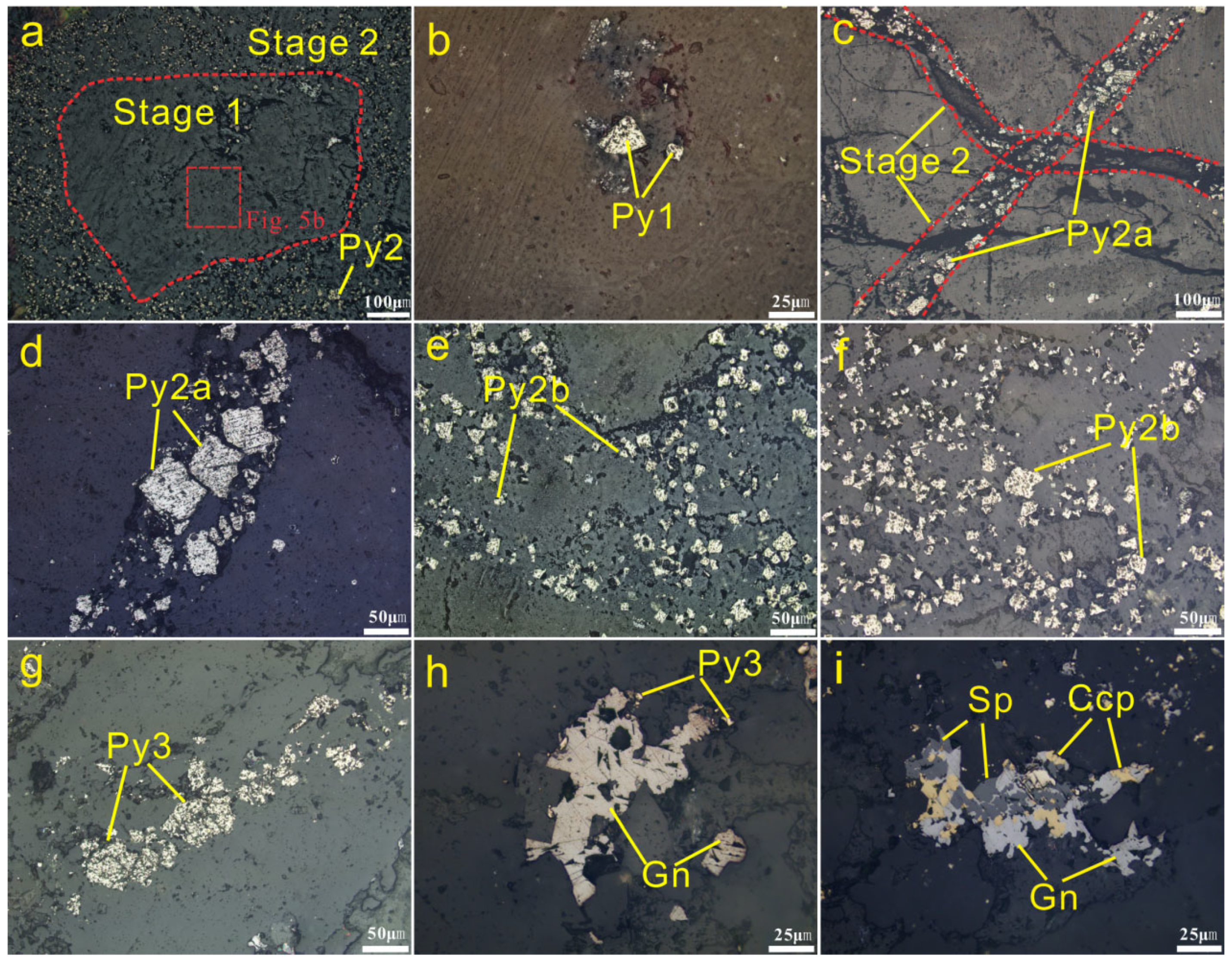Minerals 15 00006 g006