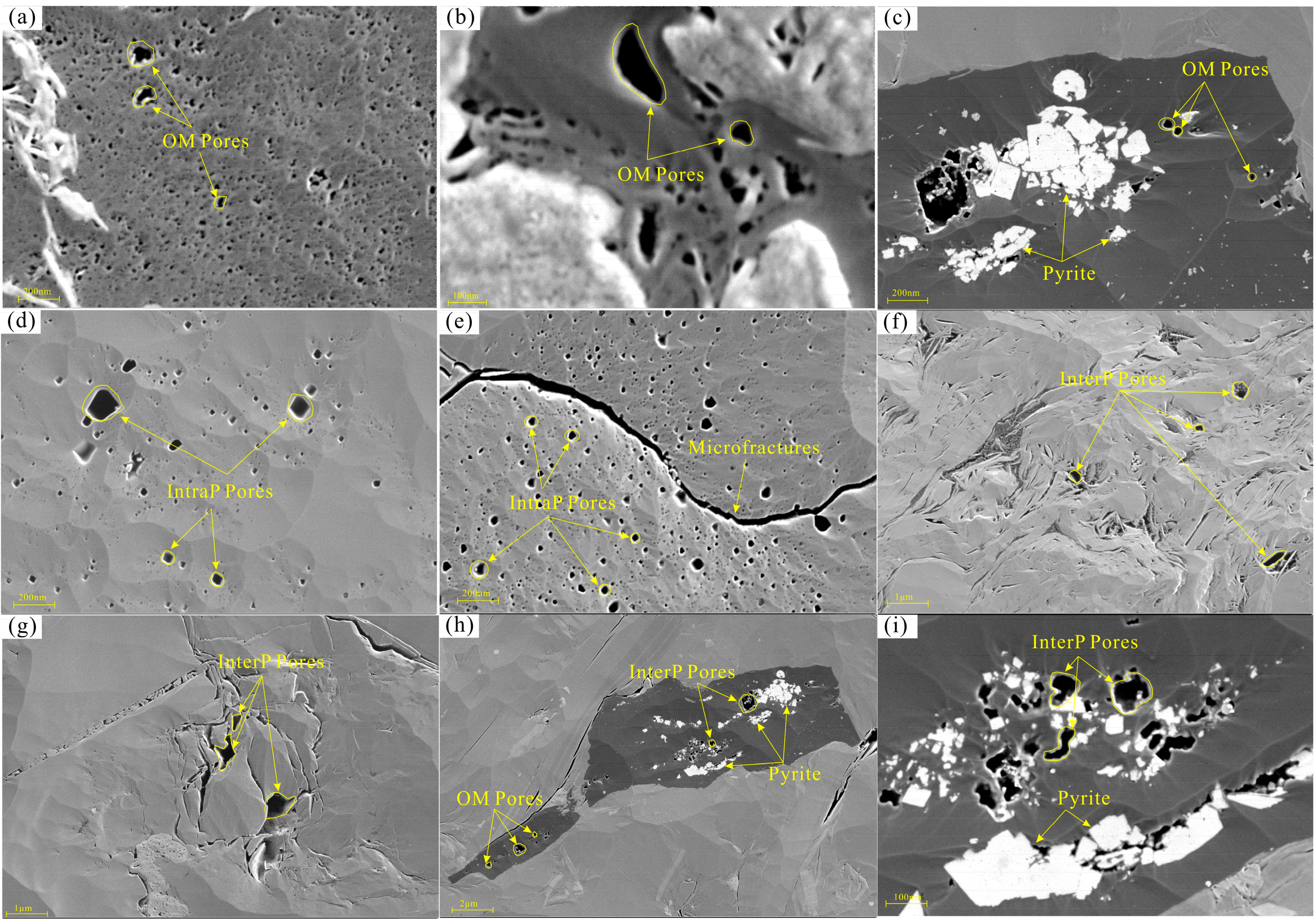 Minerals 15 00011 g002