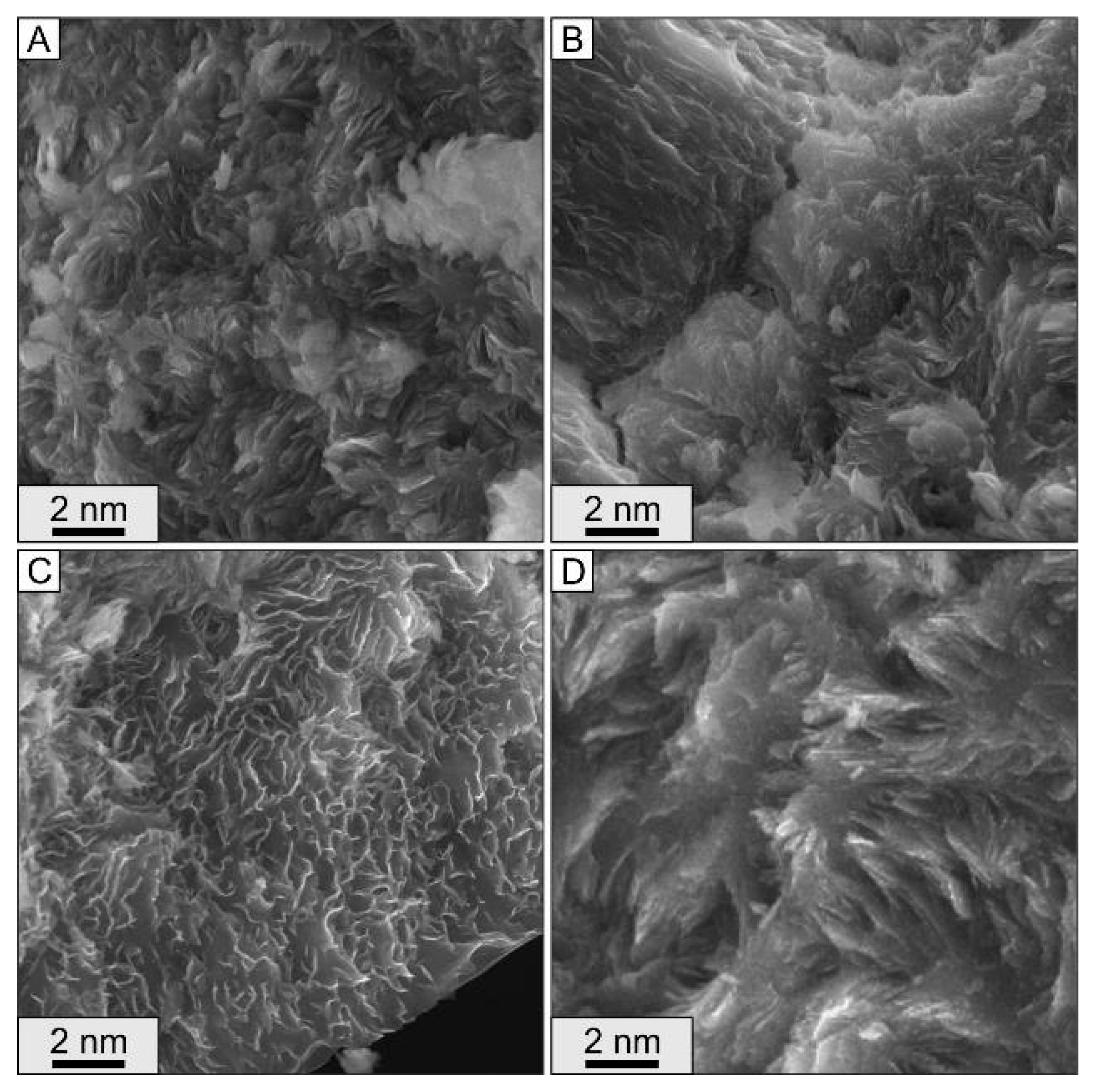 Minerals 15 00012 g006