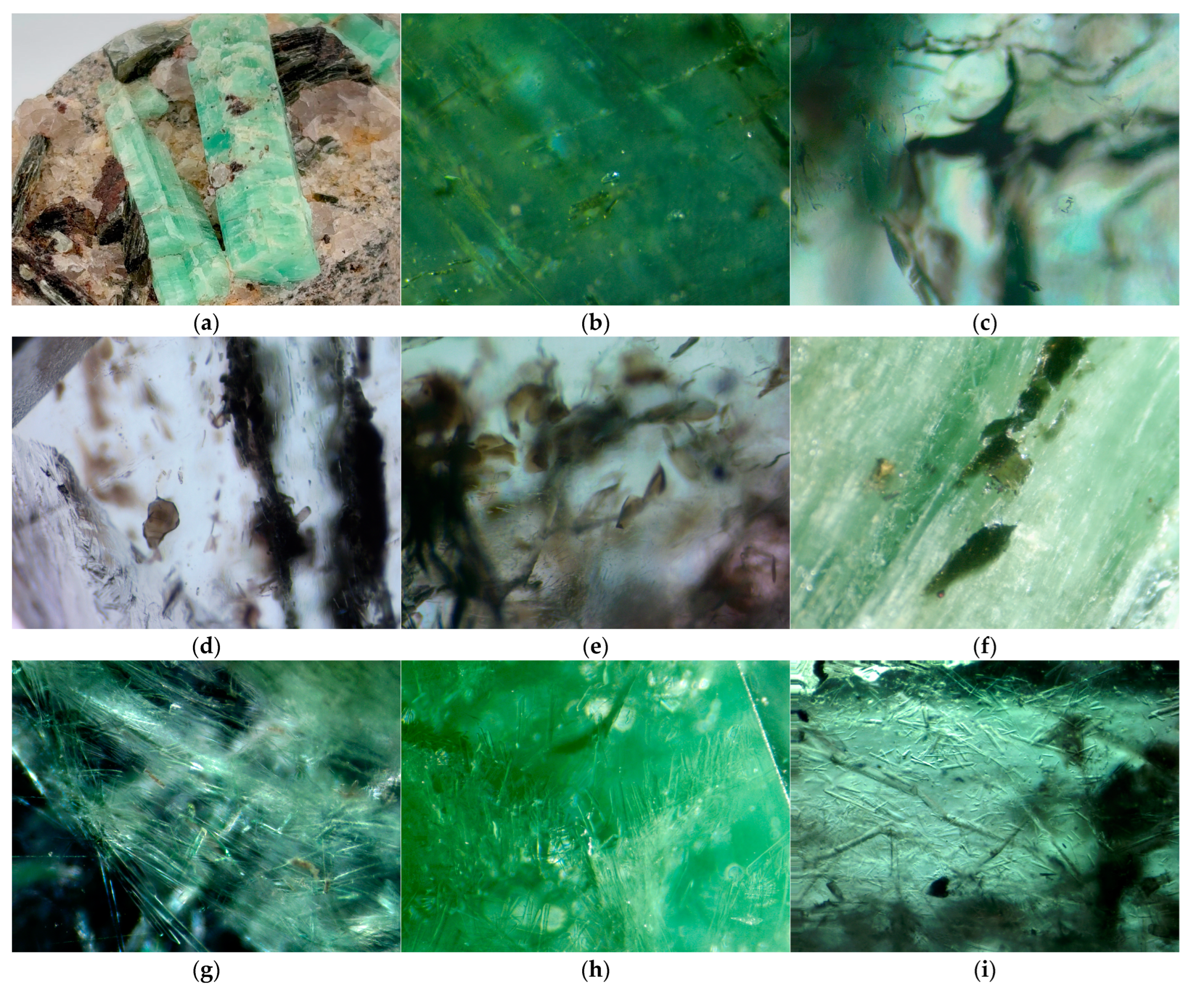 Minerals 15 00022 g004