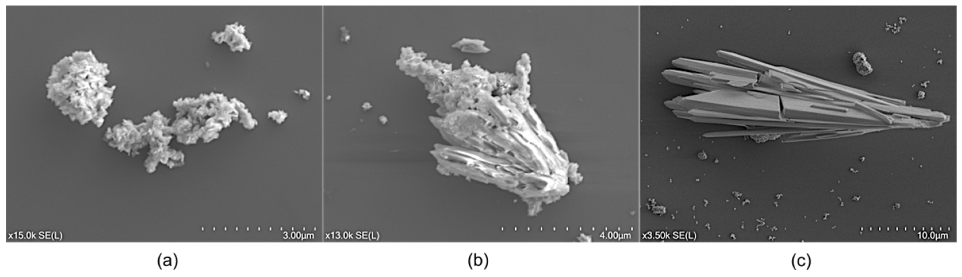 Minerals 15 00023 g006