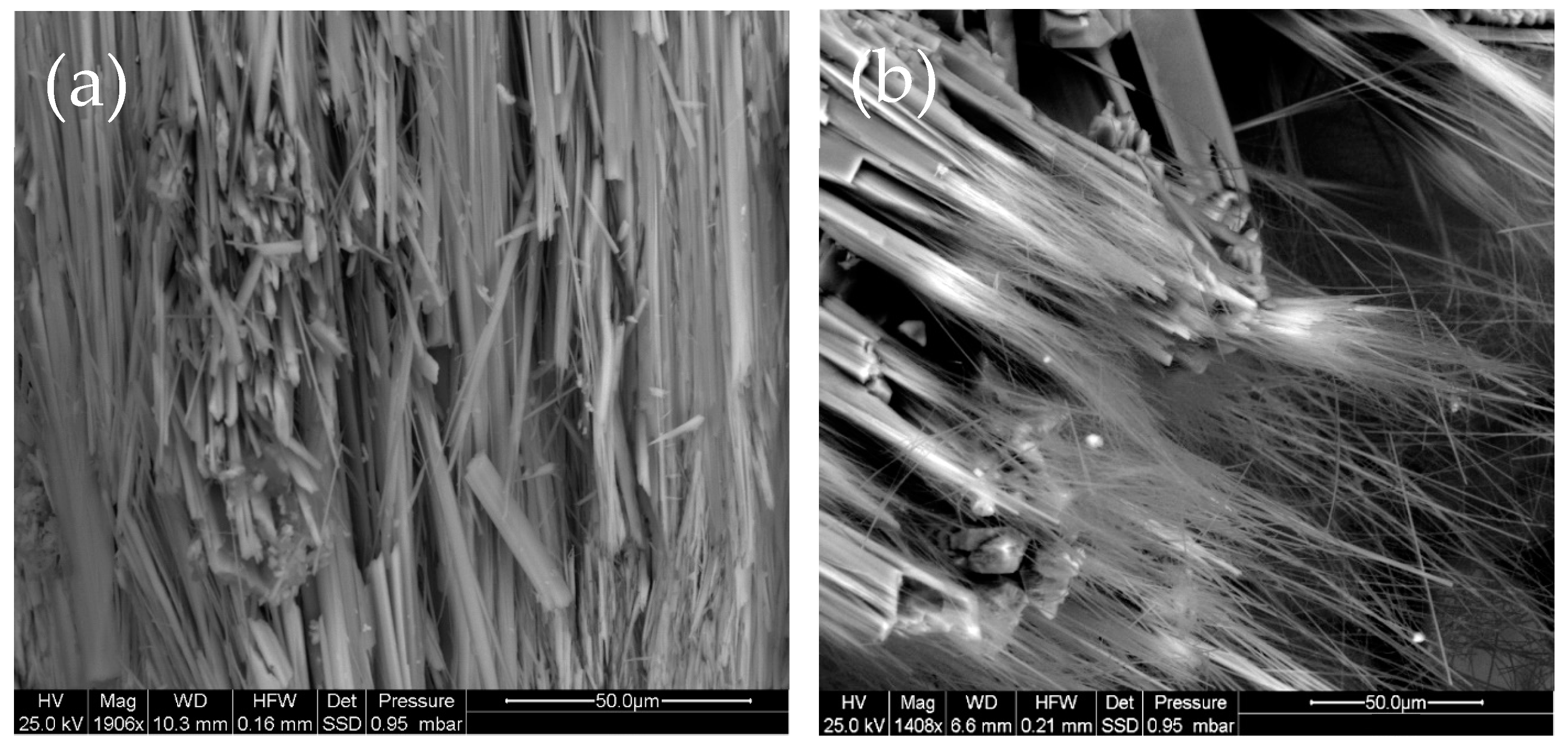 Minerals 15 00026 g006