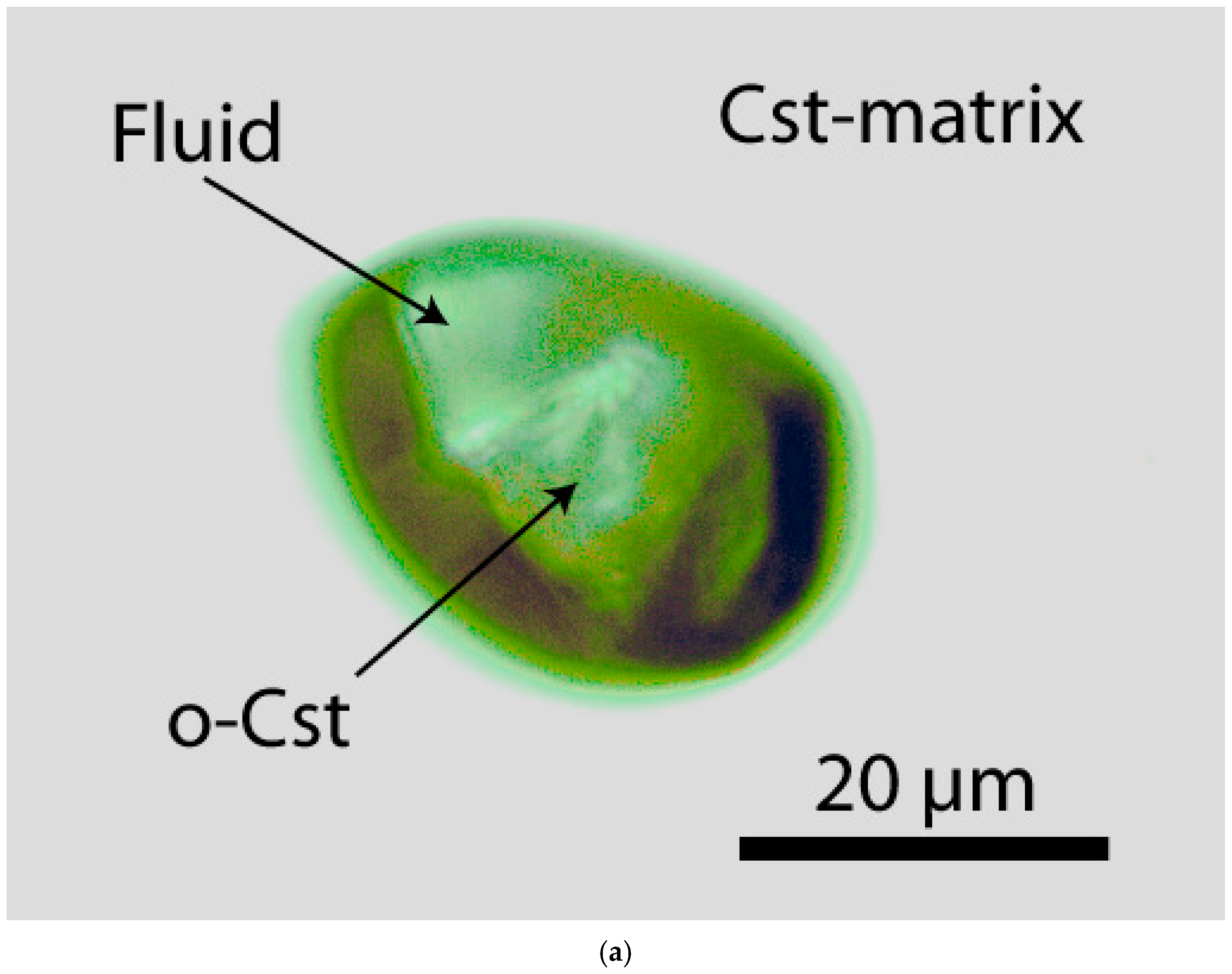 Minerals 15 00033 g003a