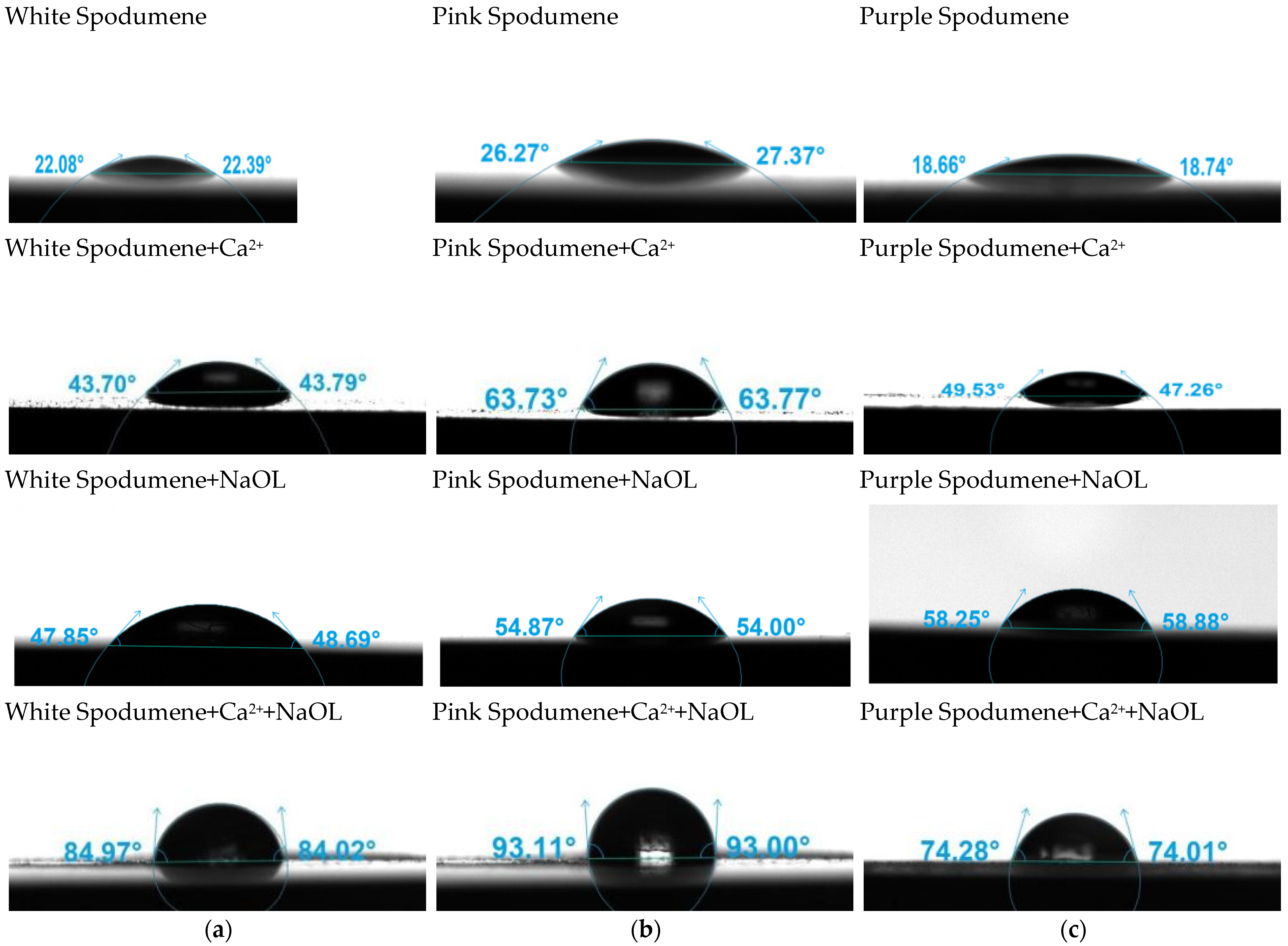 Minerals 15 00048 g010