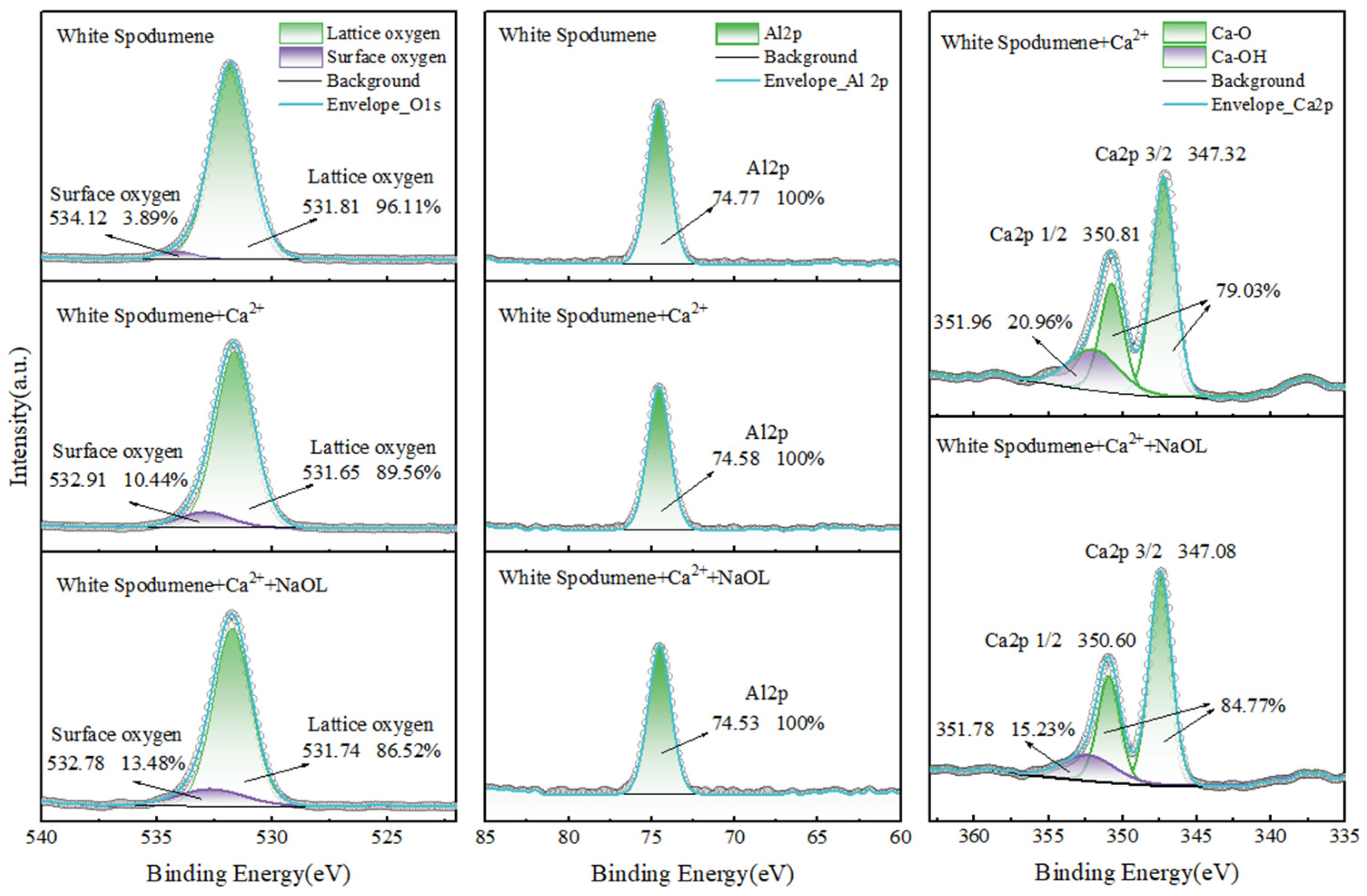 Minerals 15 00048 g015