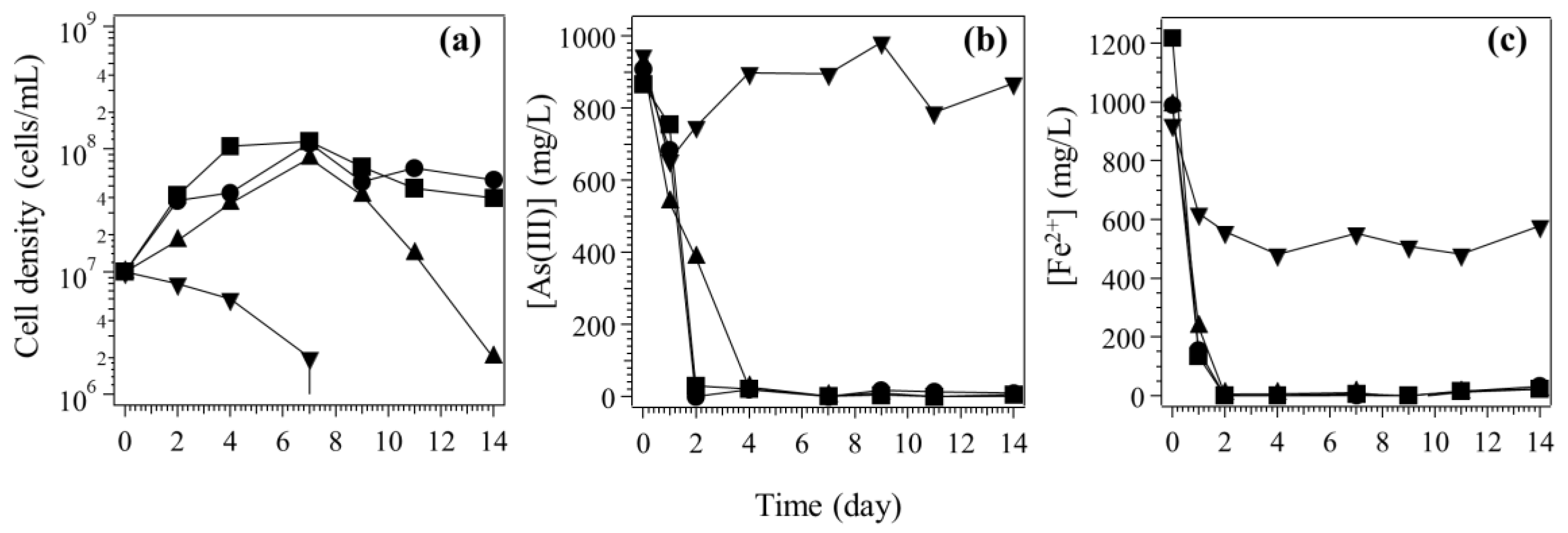 Minerals 15 00056 g001
