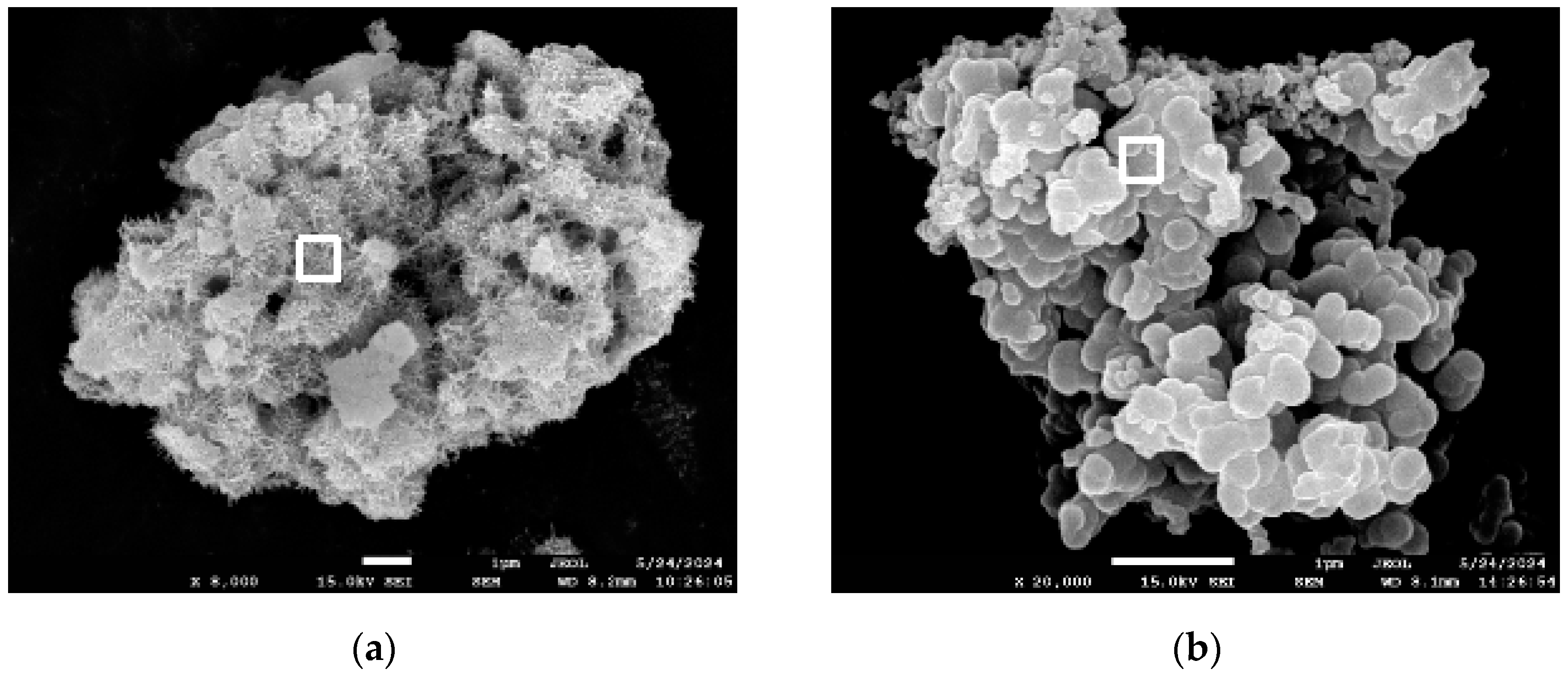 Minerals 15 00059 g006