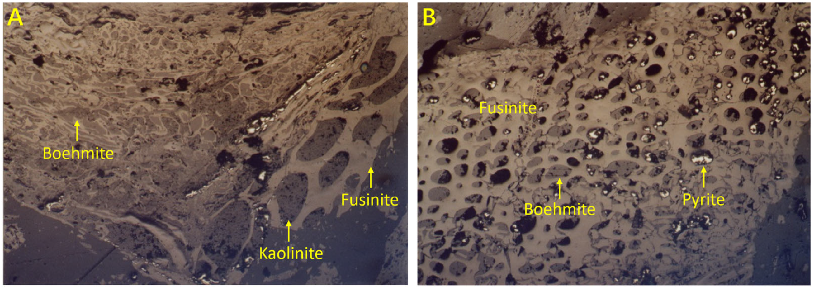 Coal-Hosted Al-Ga-Li-REE Deposits in China: A Review