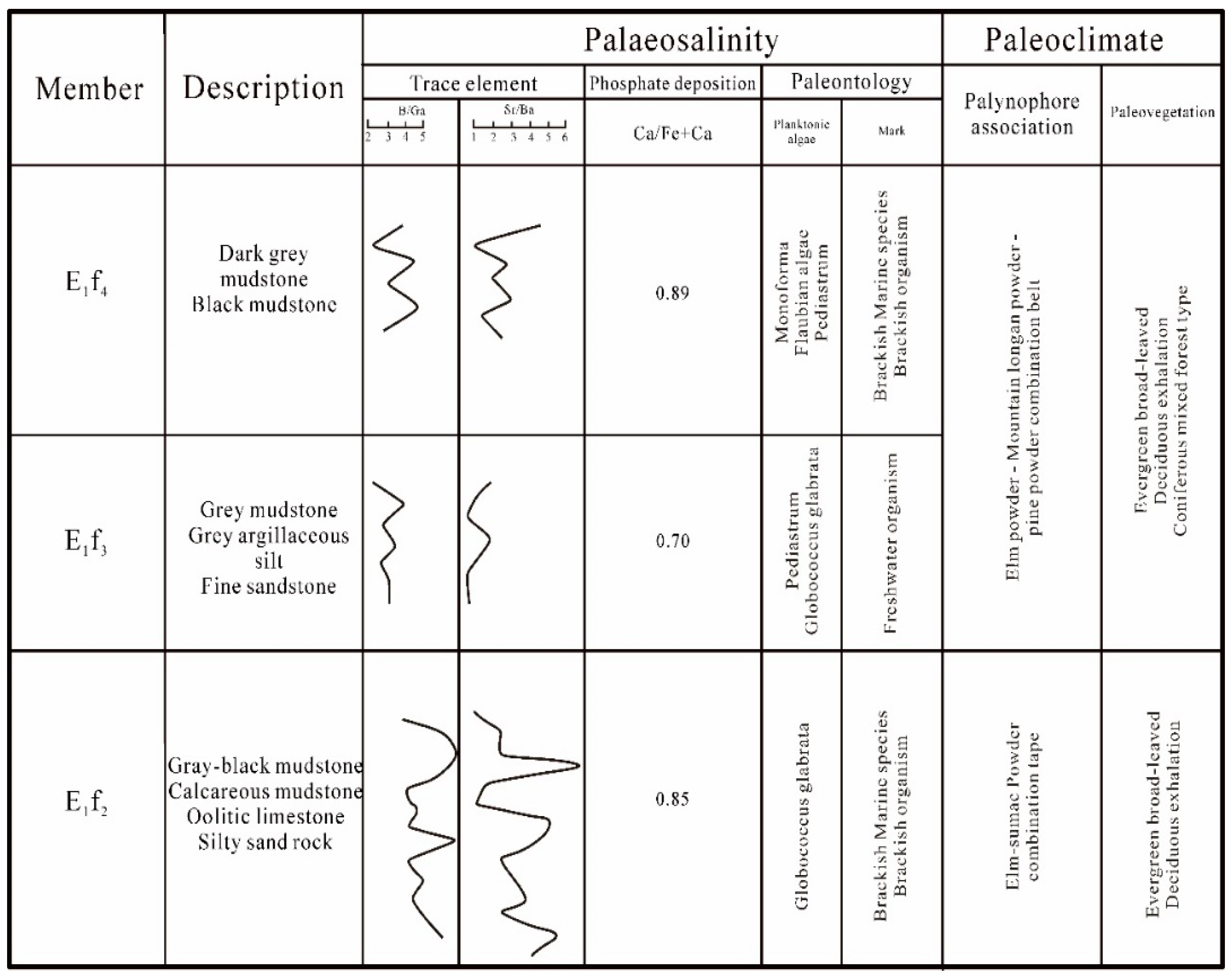 Minerals 15 00075 g005