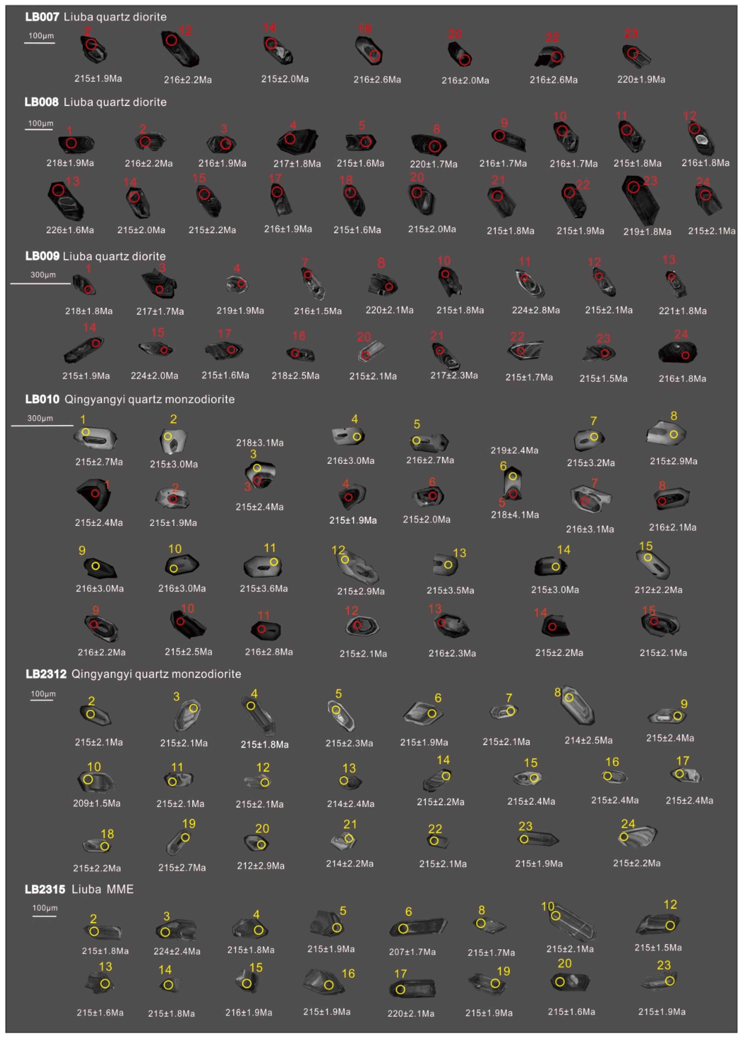 Minerals 15 00077 g005