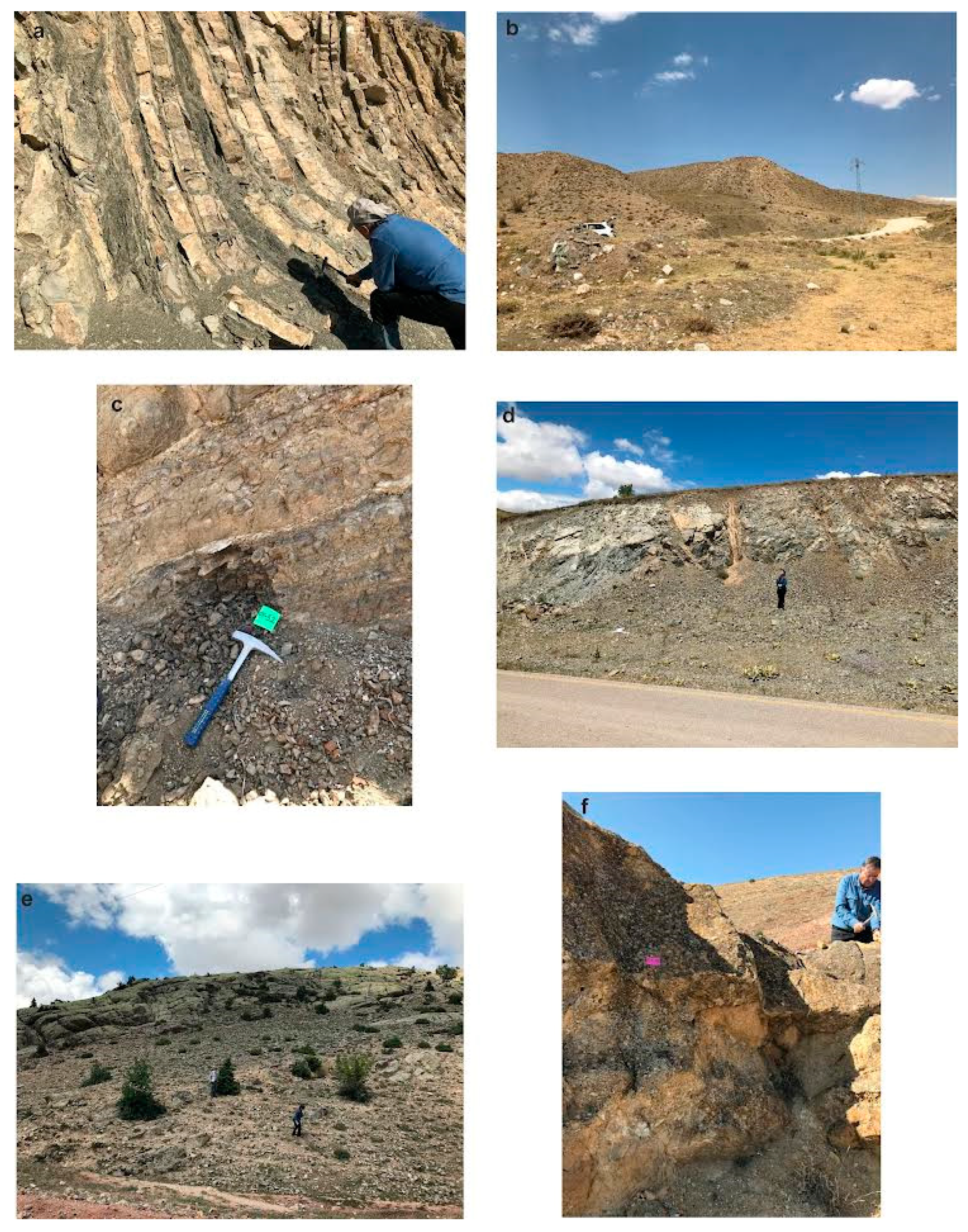 Minerals 15 00092 g004