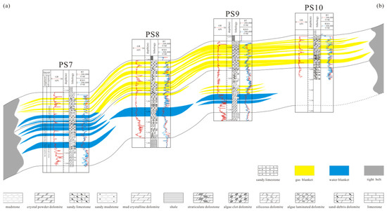プレステ Key Characteristics and Controlling Factors of the Gas