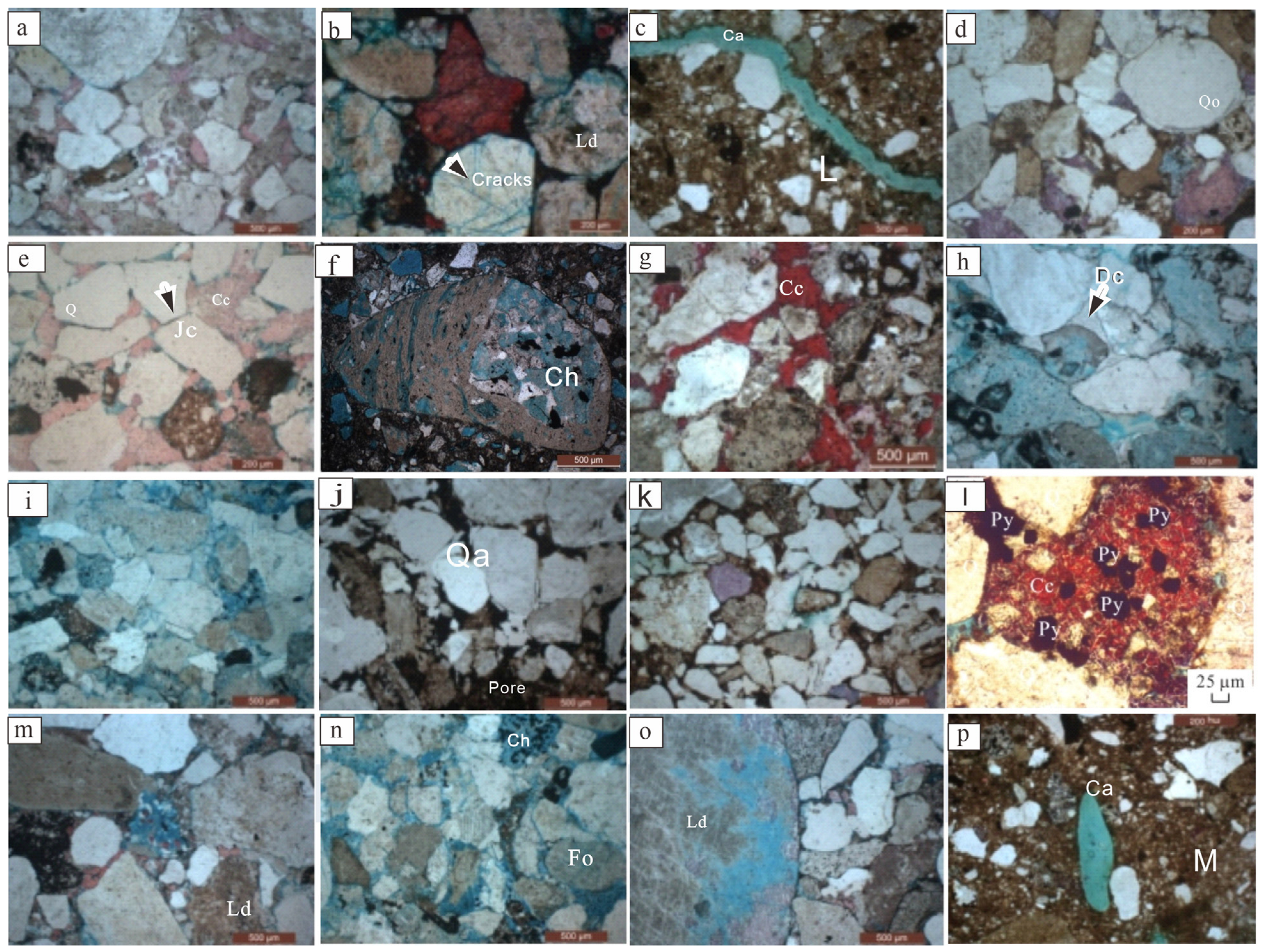 Minerals 15 00099 g007