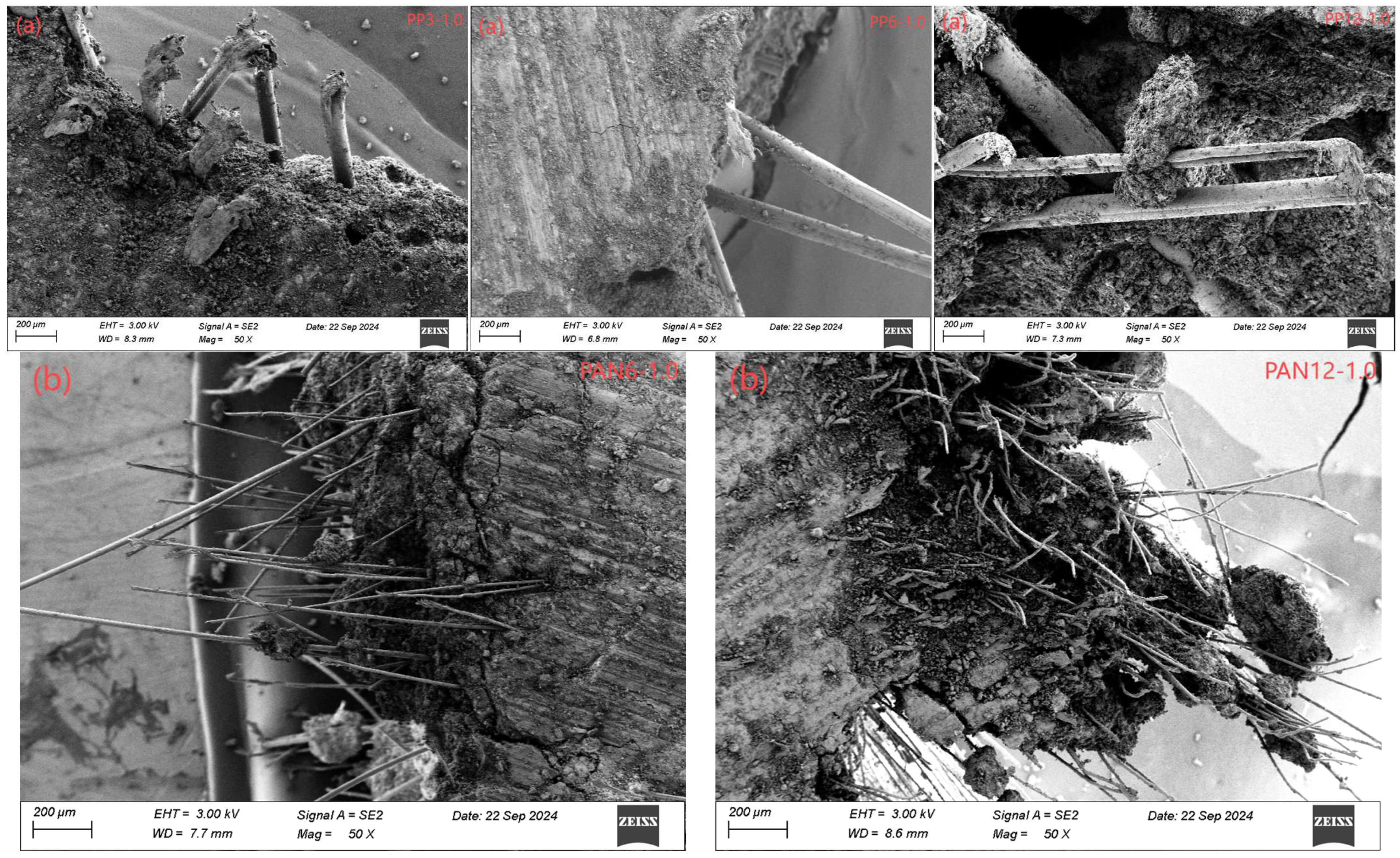 Minerals 15 00106 g009
