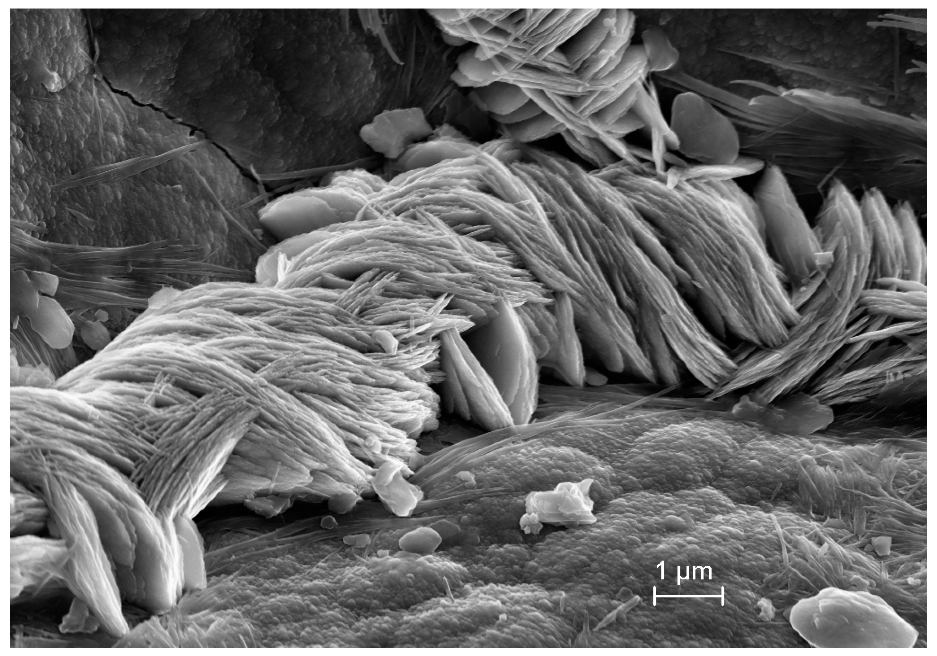 Minerals 15 00108 g012