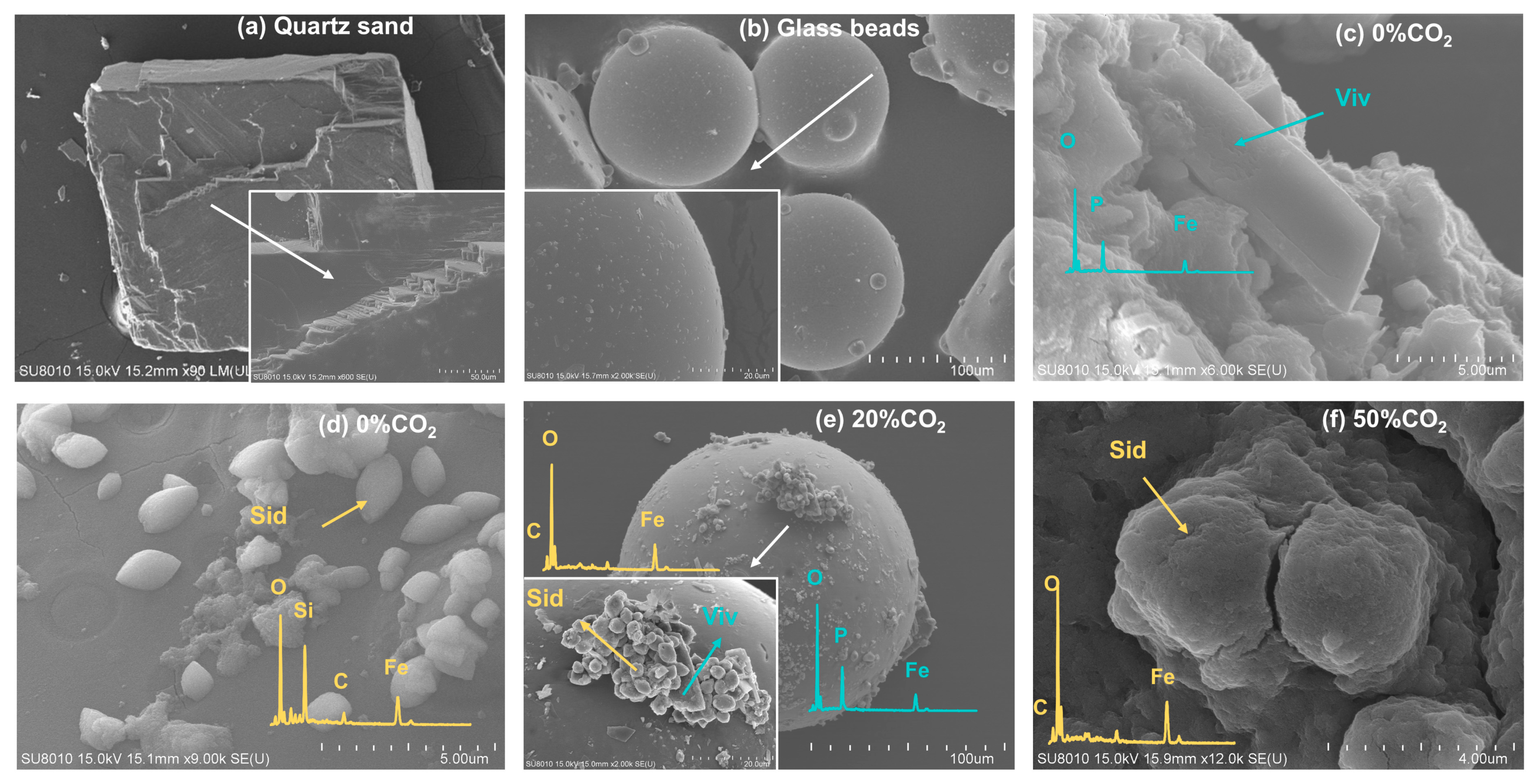 Minerals 15 00112 g004