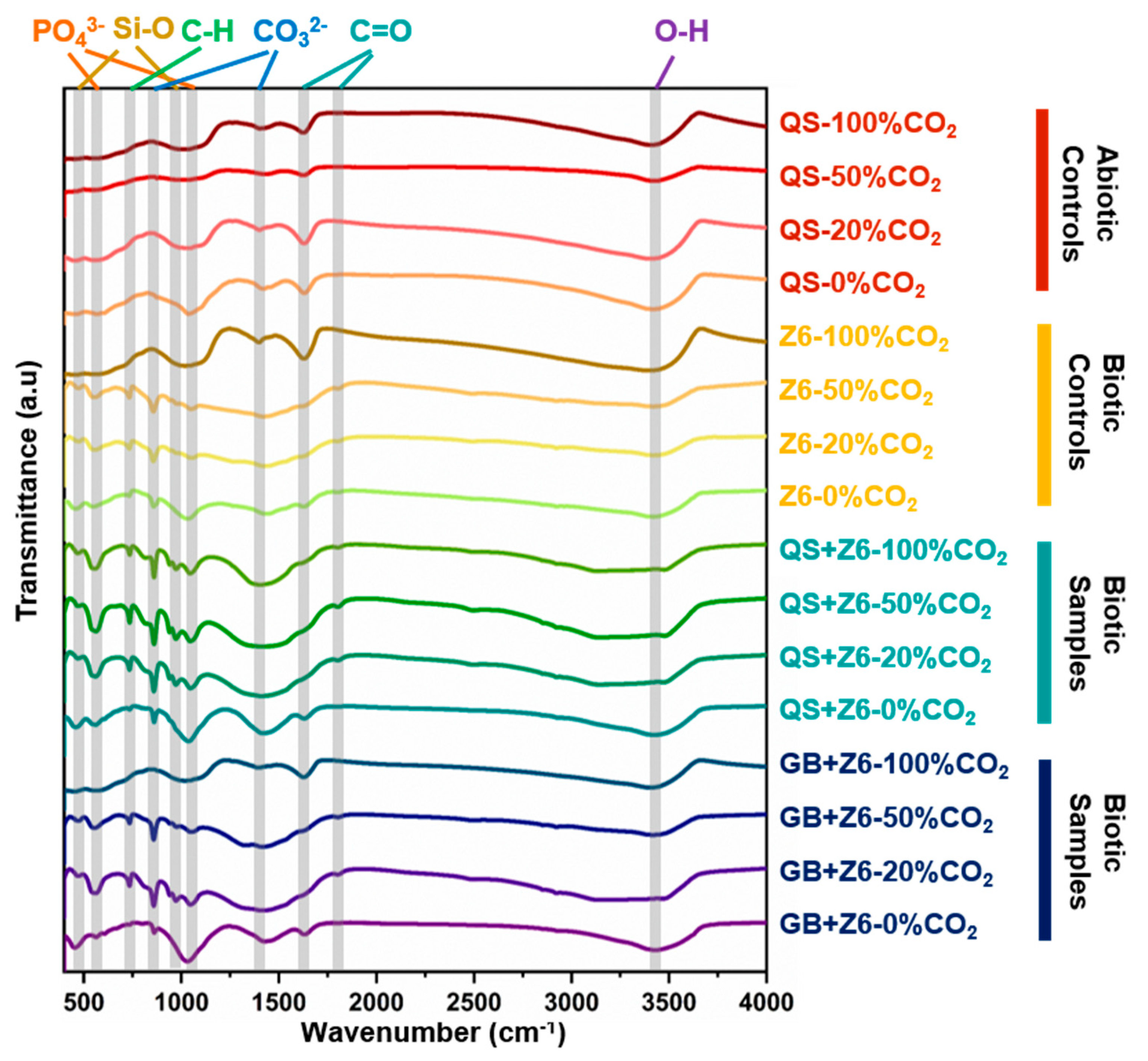 Minerals 15 00112 g005