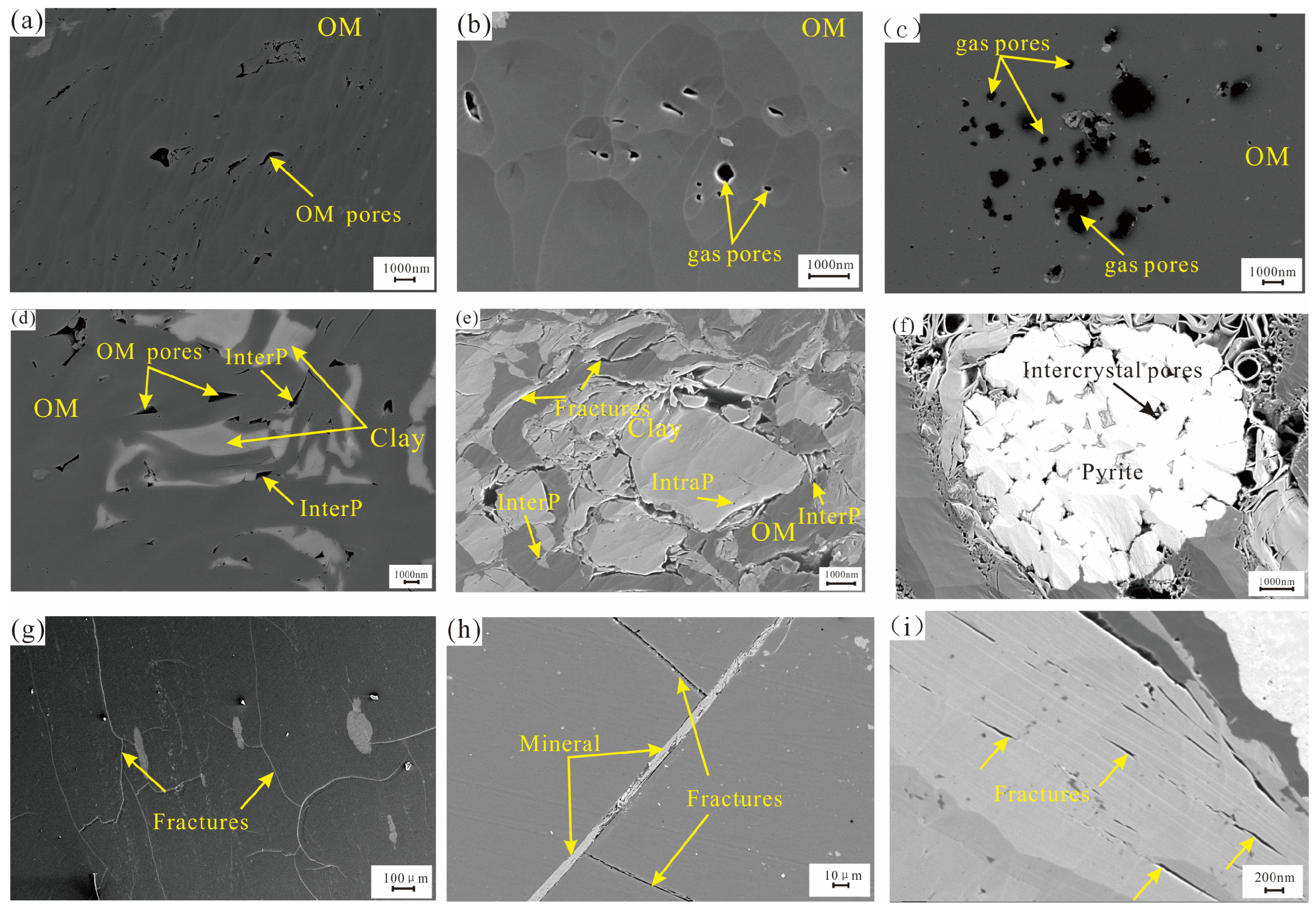 Minerals 15 00116 g004