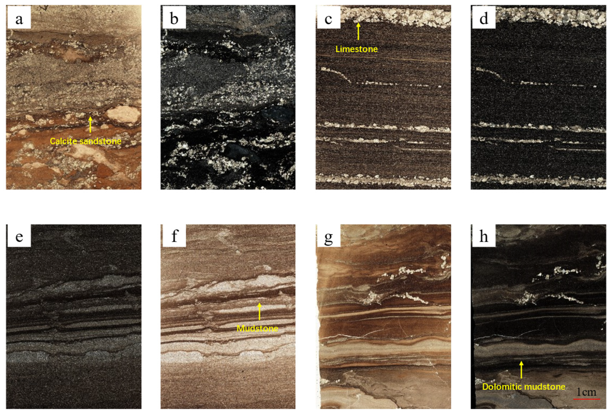 Minerals 15 00118 g009