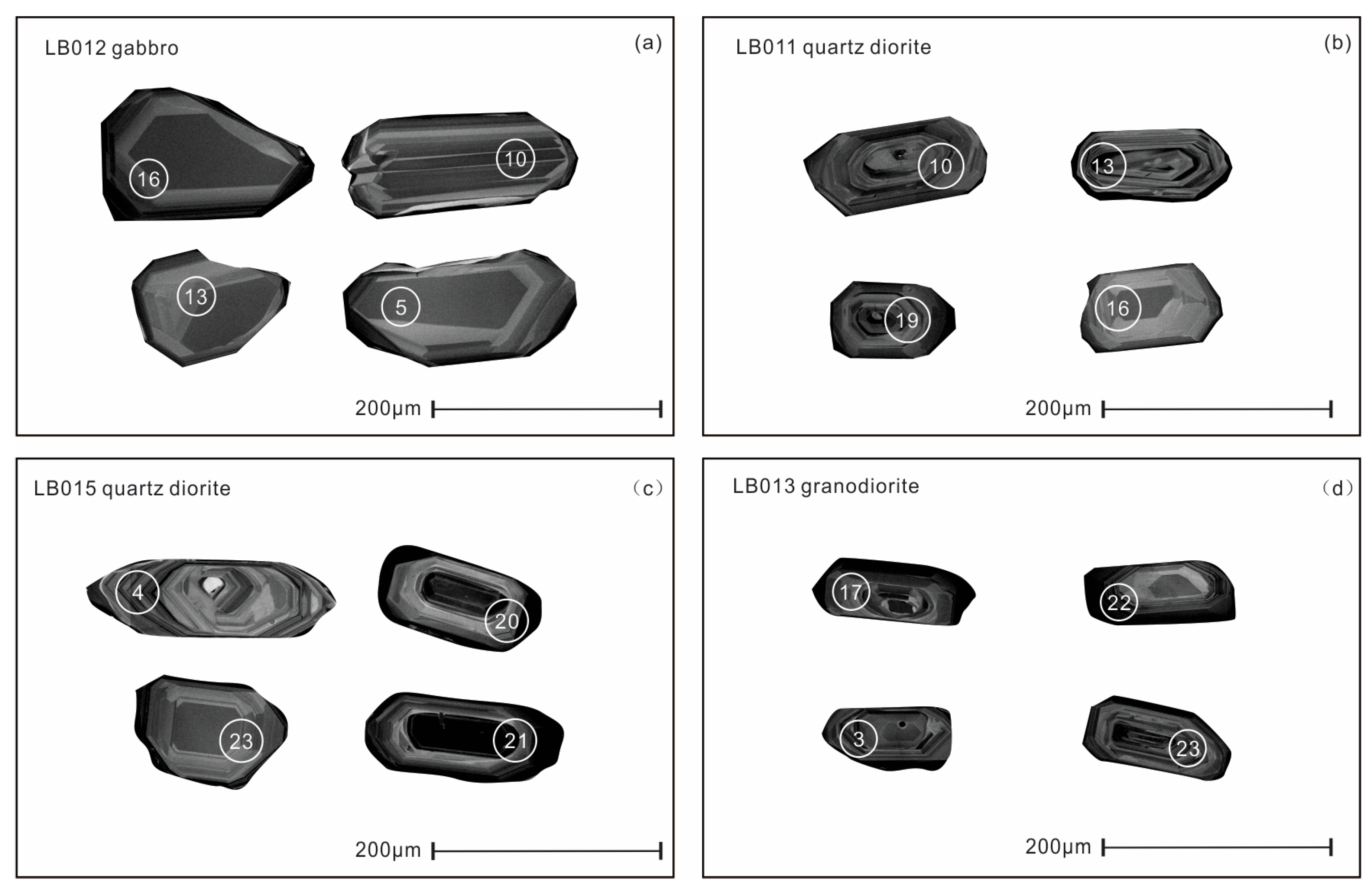 Minerals 15 00120 g005
