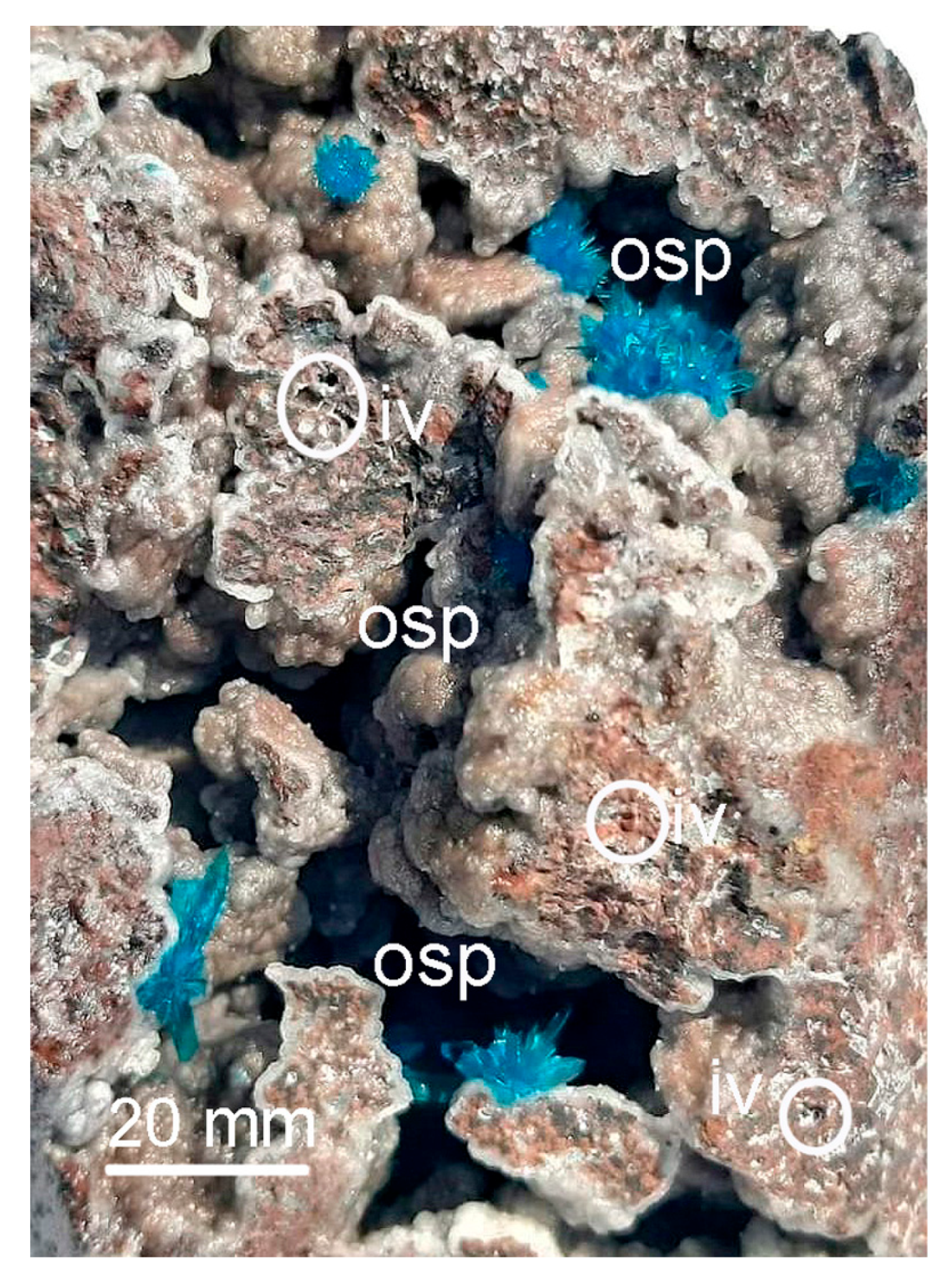 Minerals 15 00126 g004