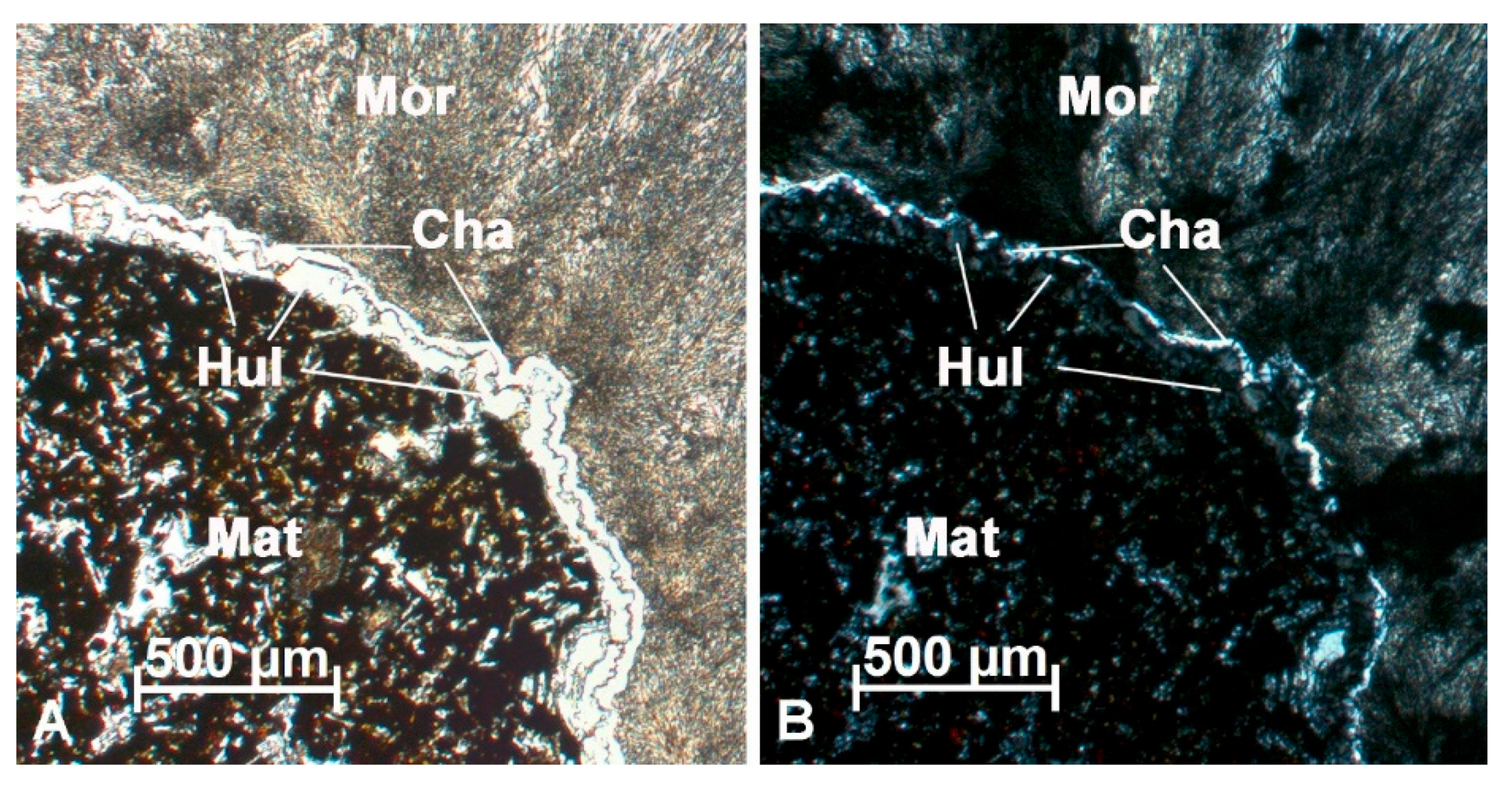 Minerals 15 00126 g007