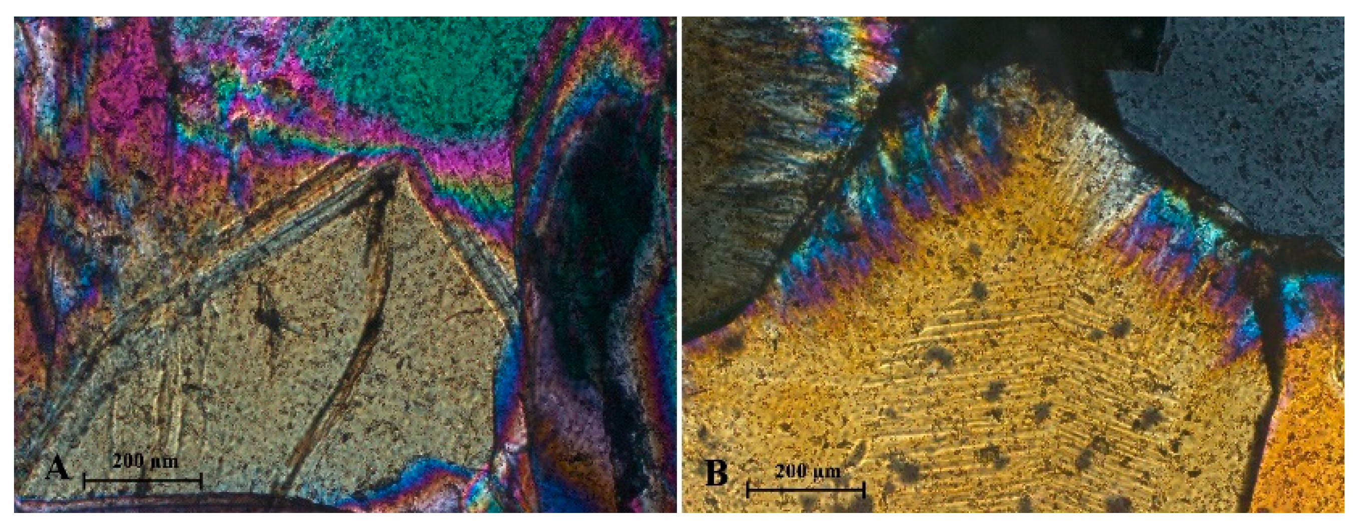 Minerals 15 00126 g010