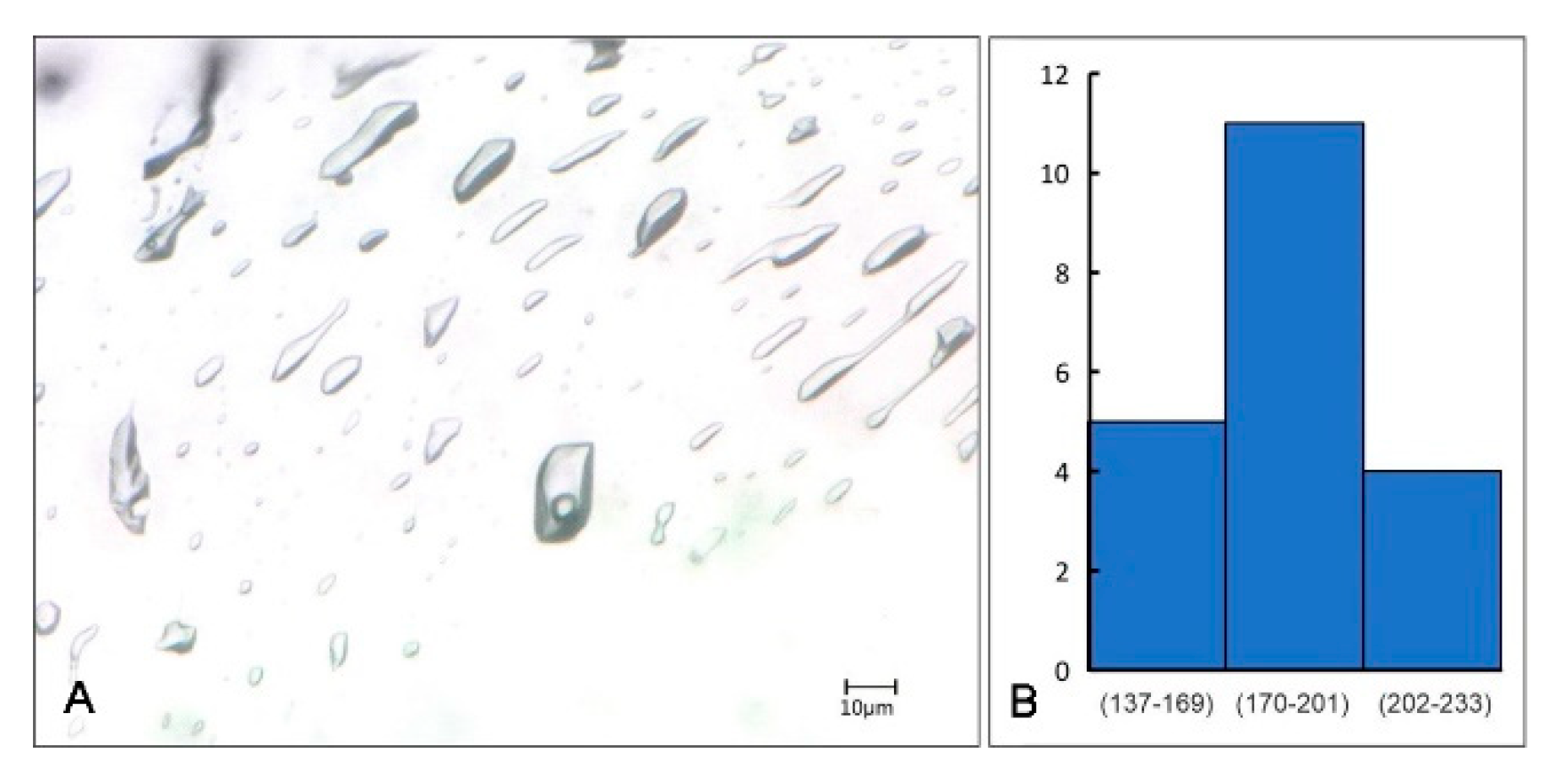 Minerals 15 00126 g011
