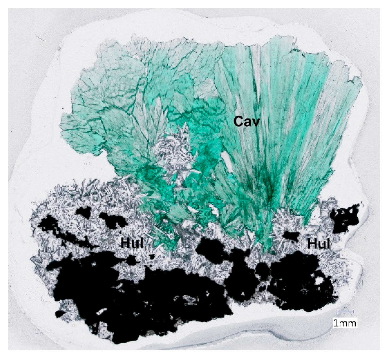Minerals 15 00126 g012