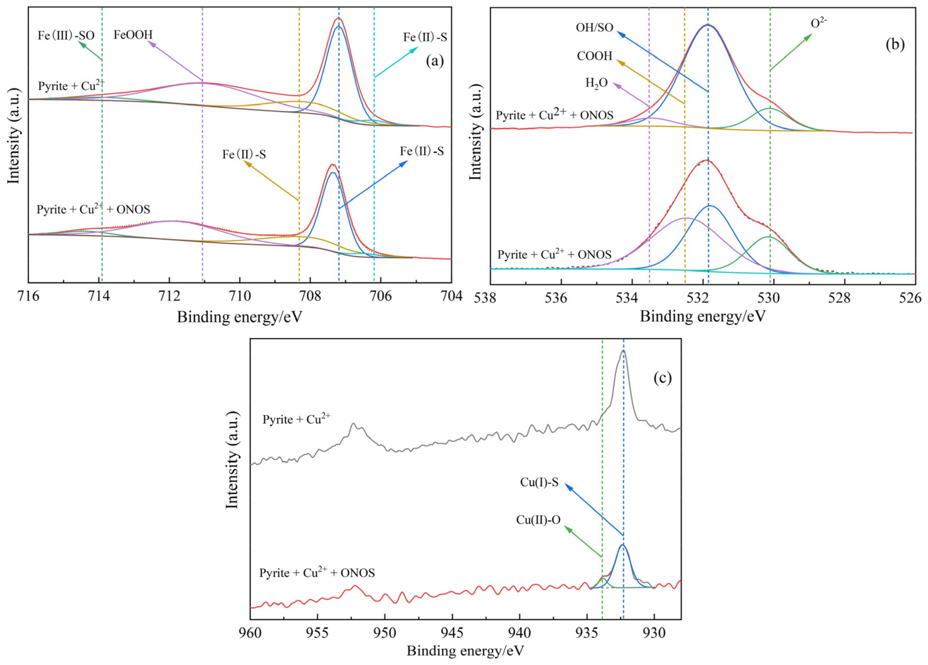 Minerals 15 00133 g006
