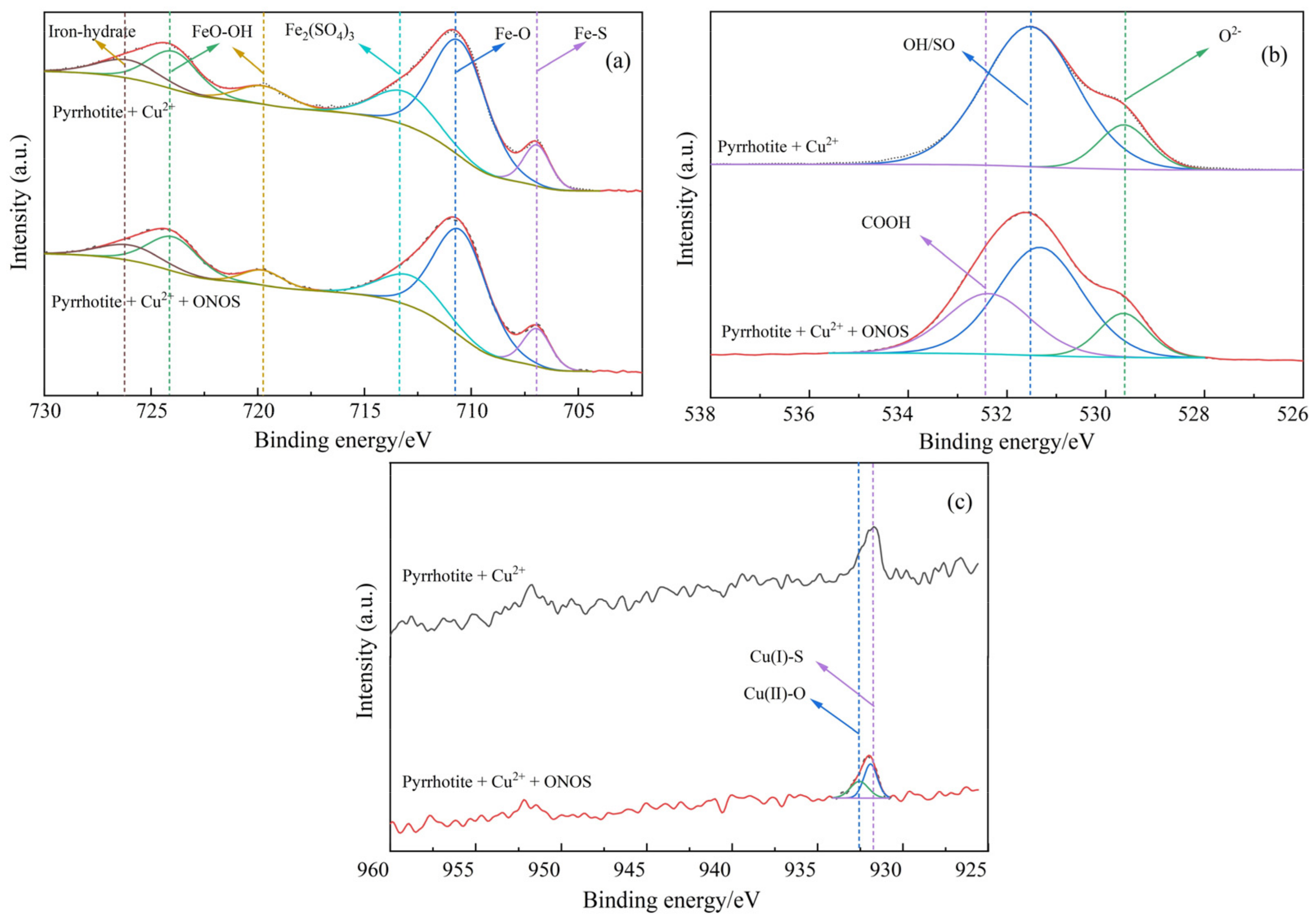 Minerals 15 00133 g007