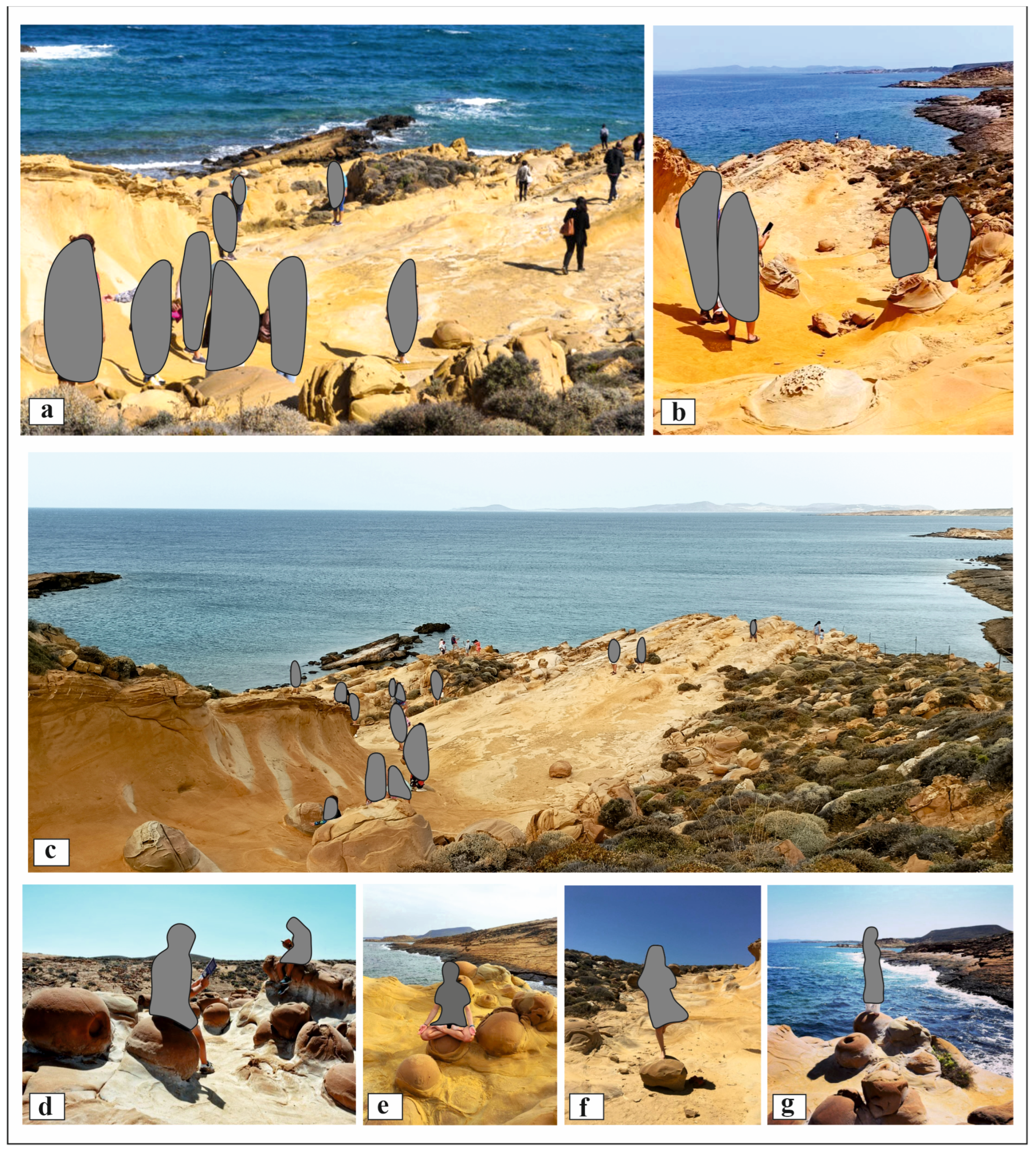 Minerals 15 00148 g005