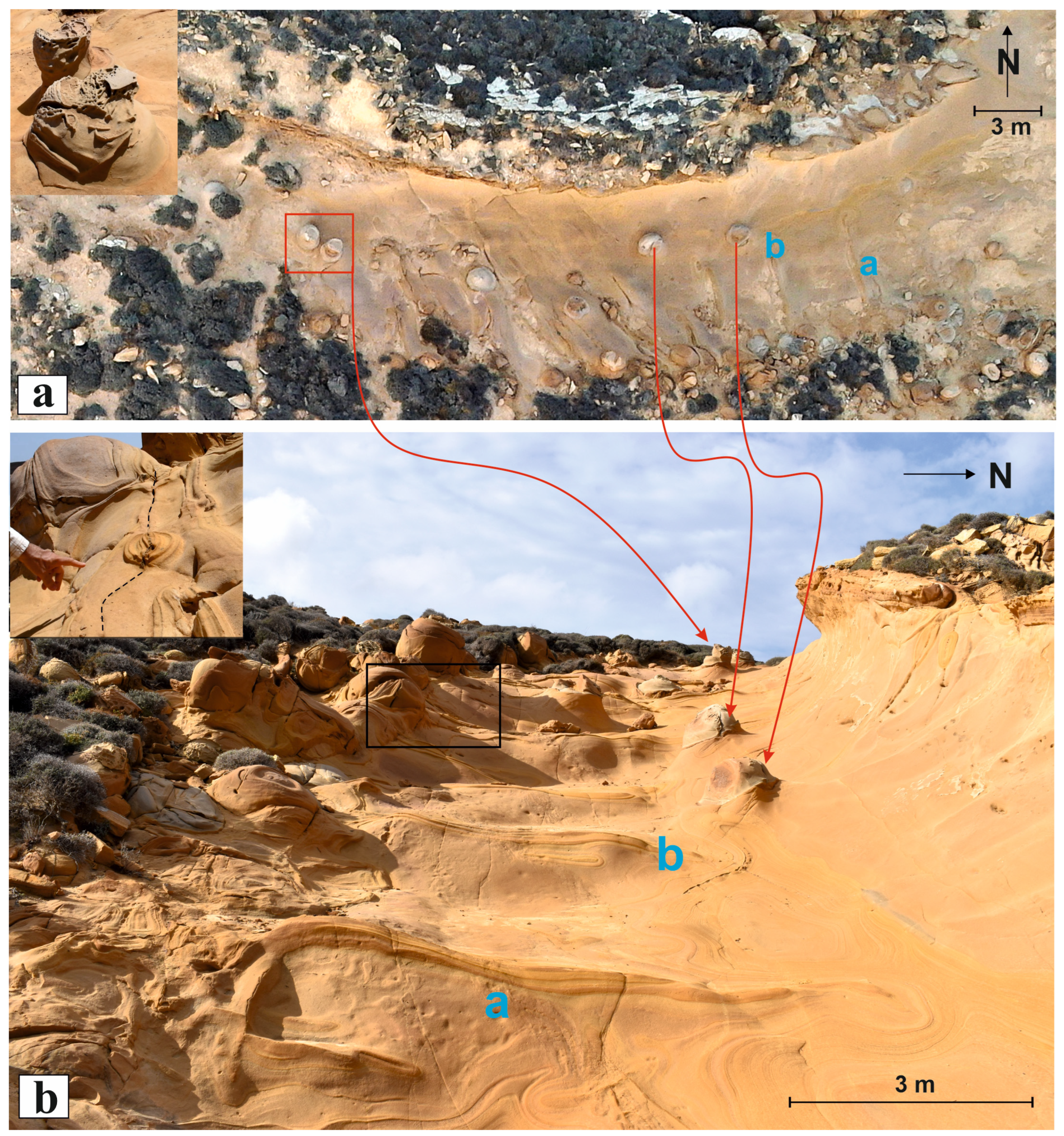 Minerals 15 00148 g009