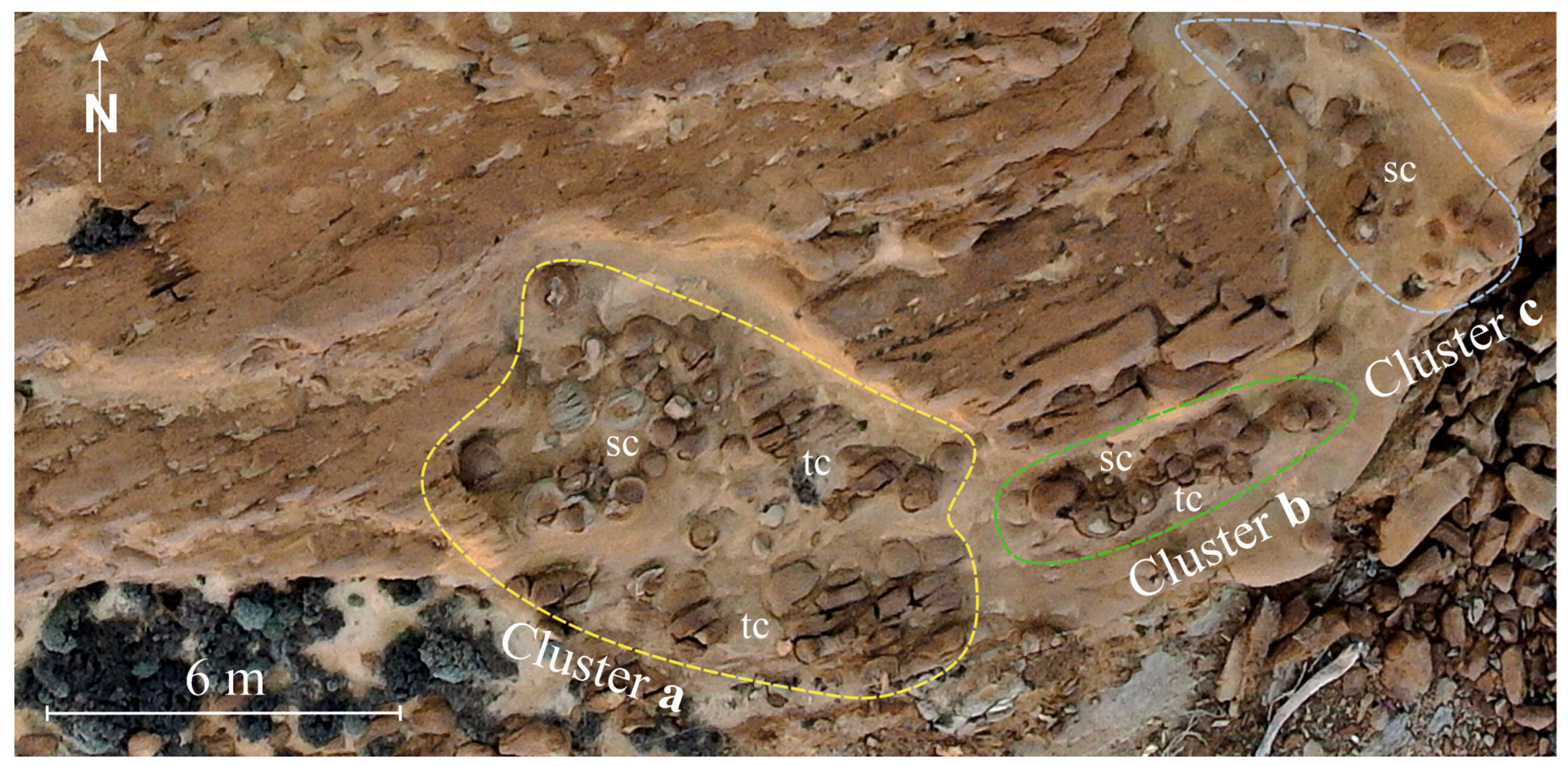 Minerals 15 00148 g010