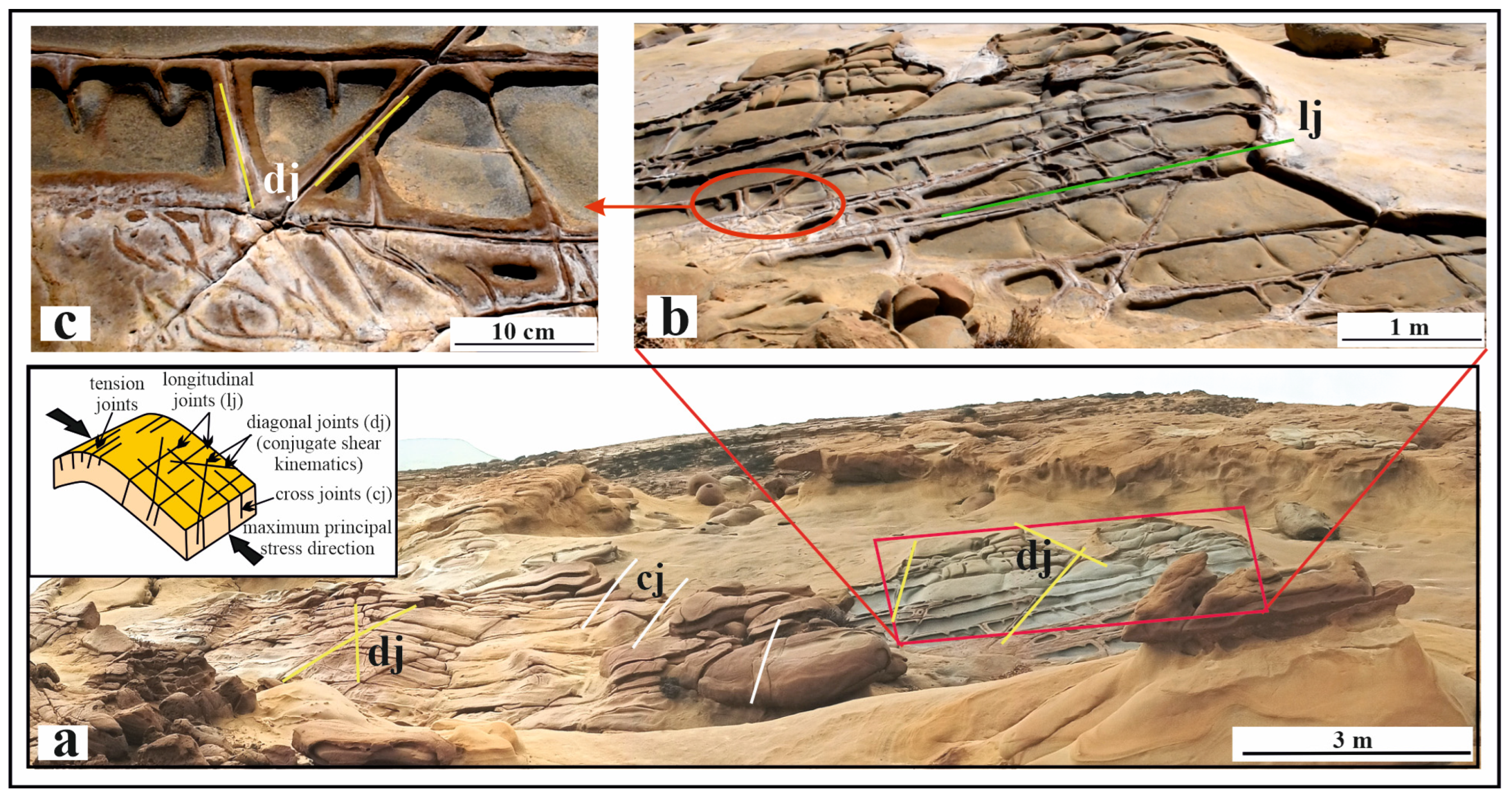 Minerals 15 00148 g014