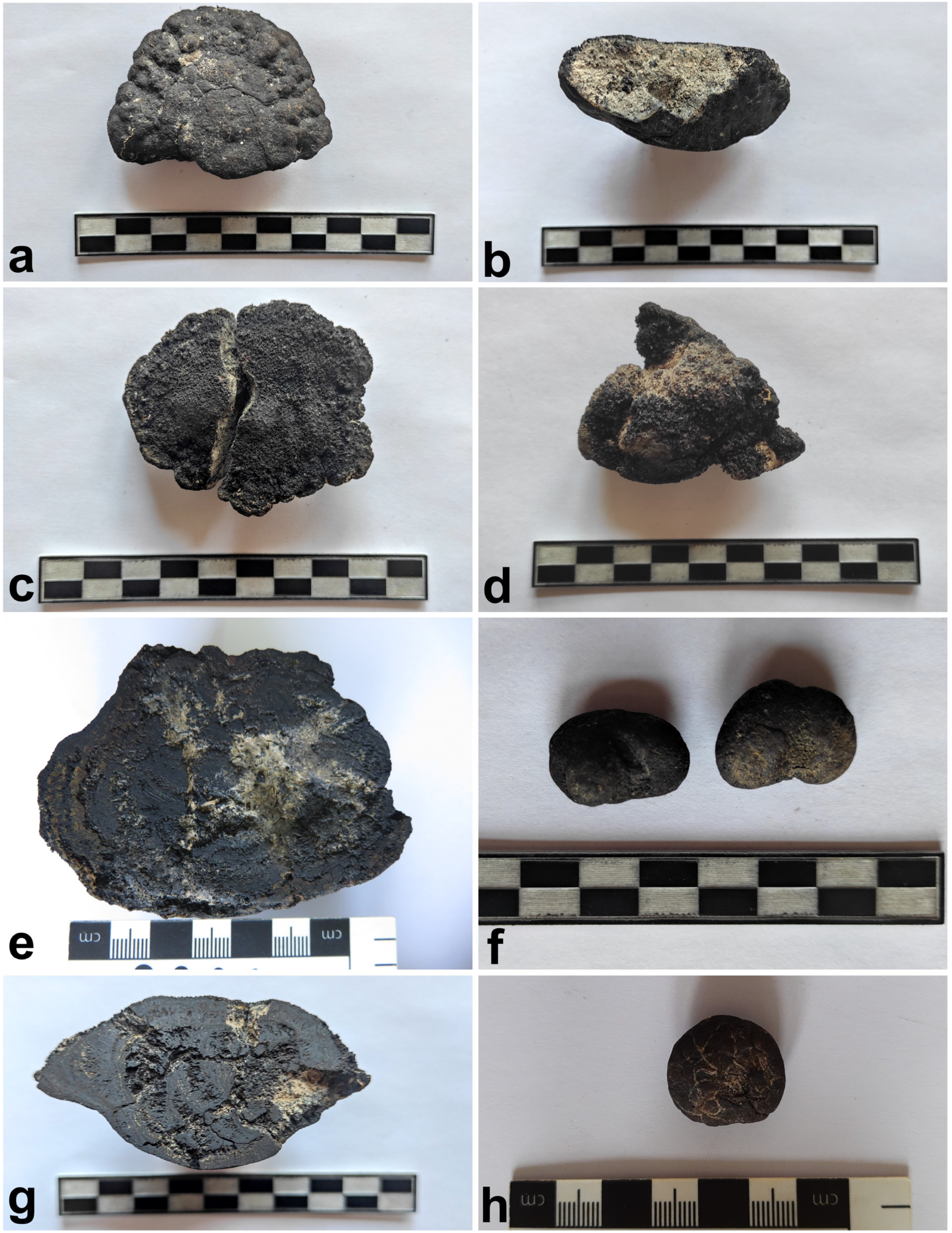 Minerals 15 00154 g002