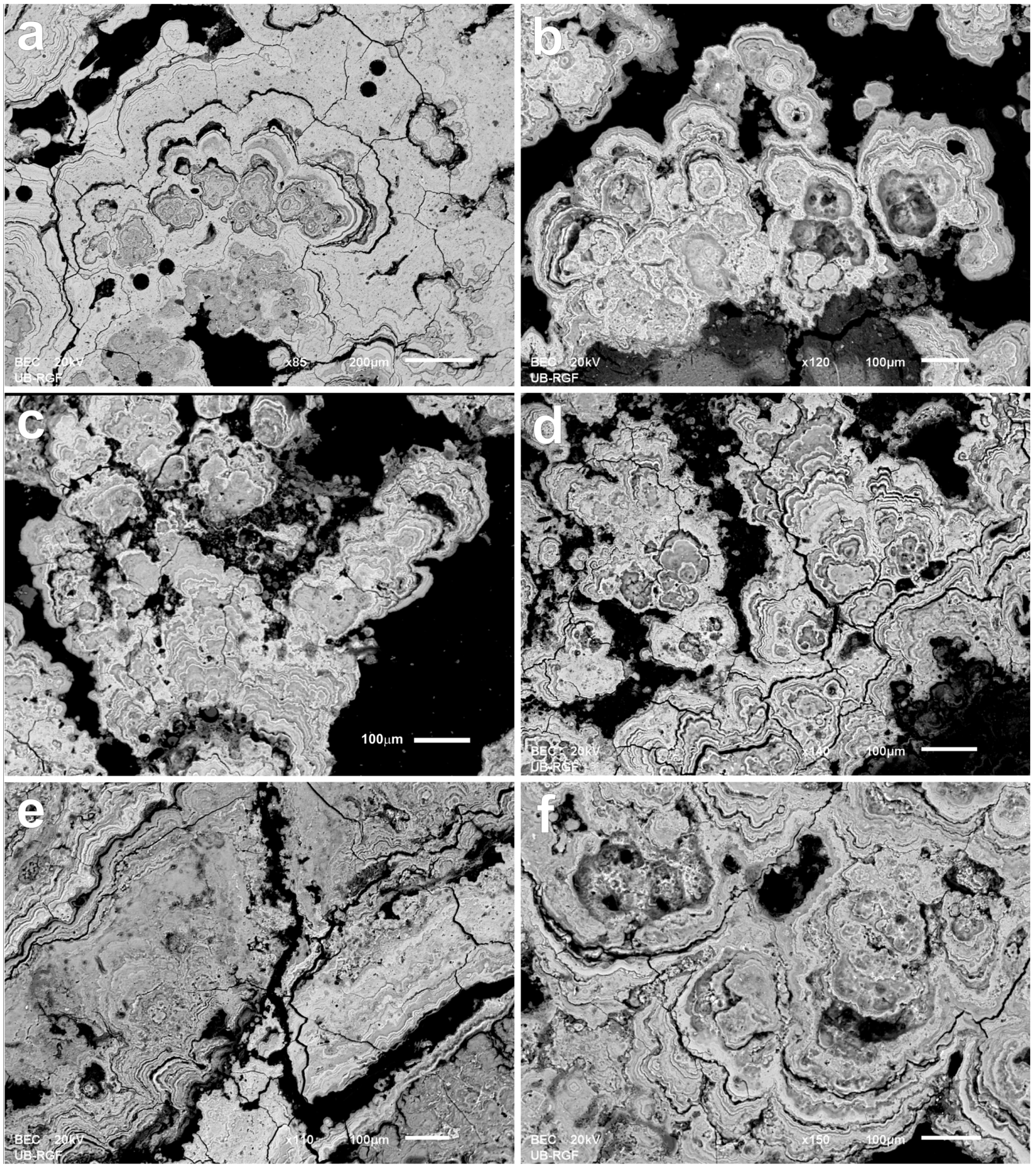 Minerals 15 00154 g007