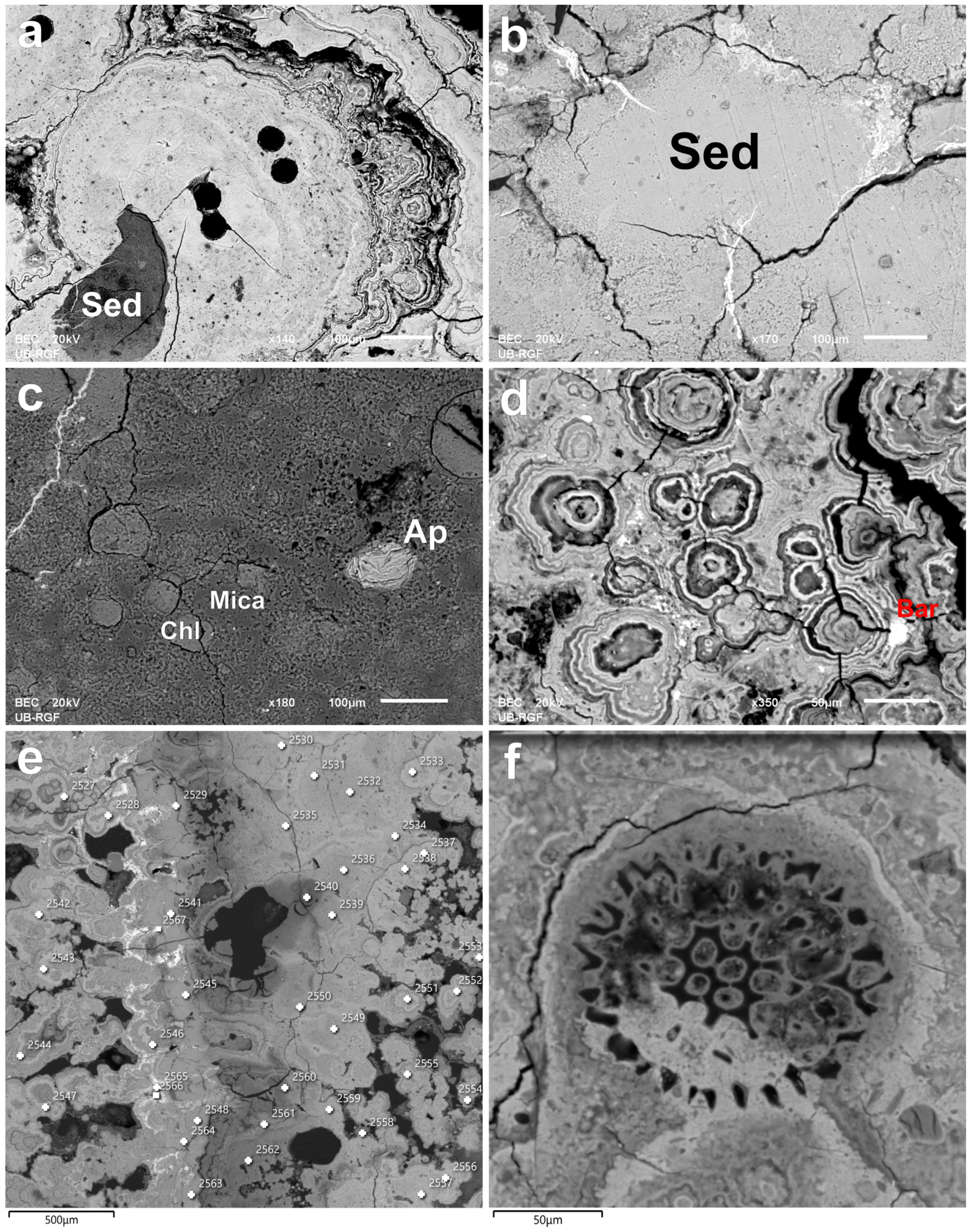 Minerals 15 00154 g008
