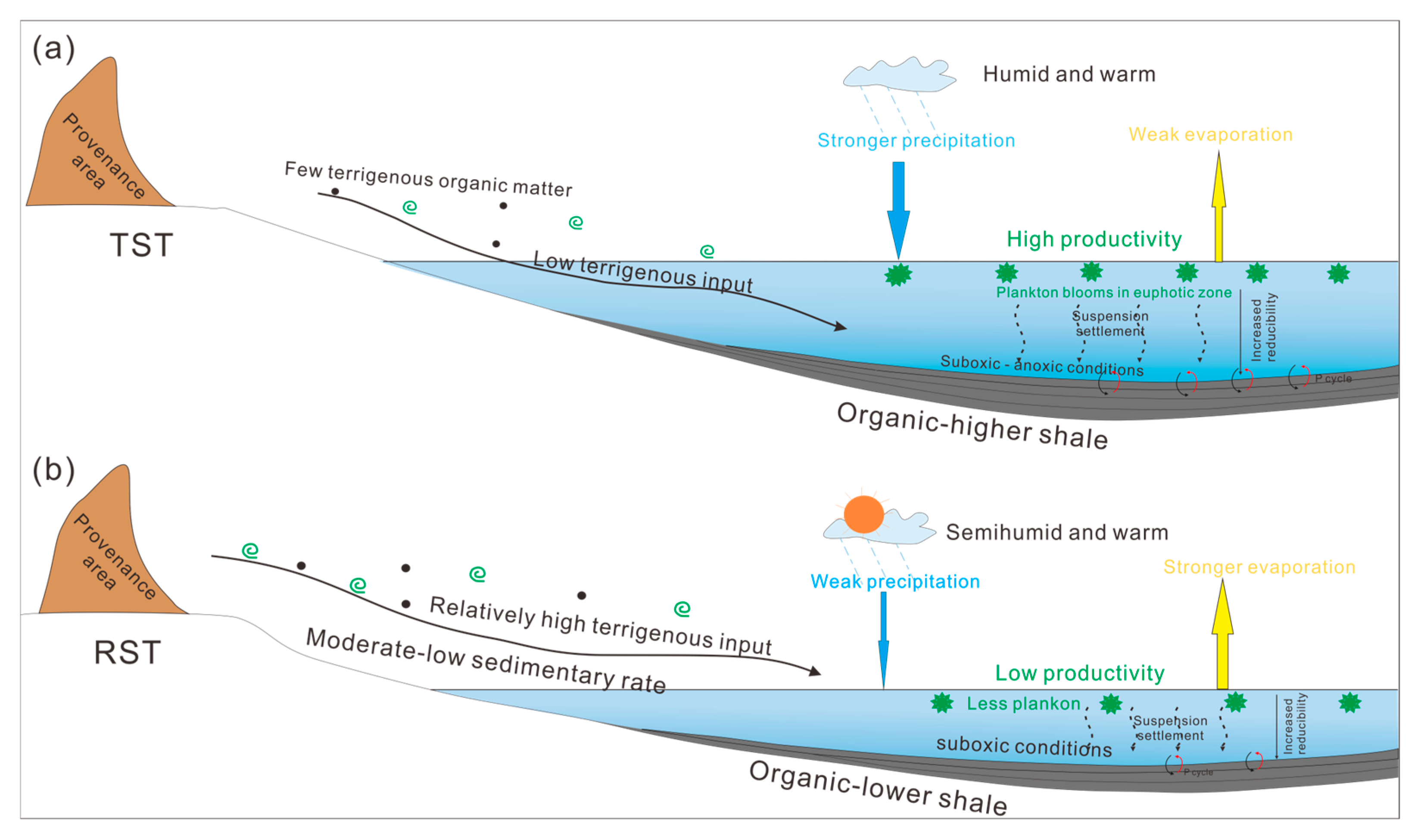 Minerals 15 00159 g012