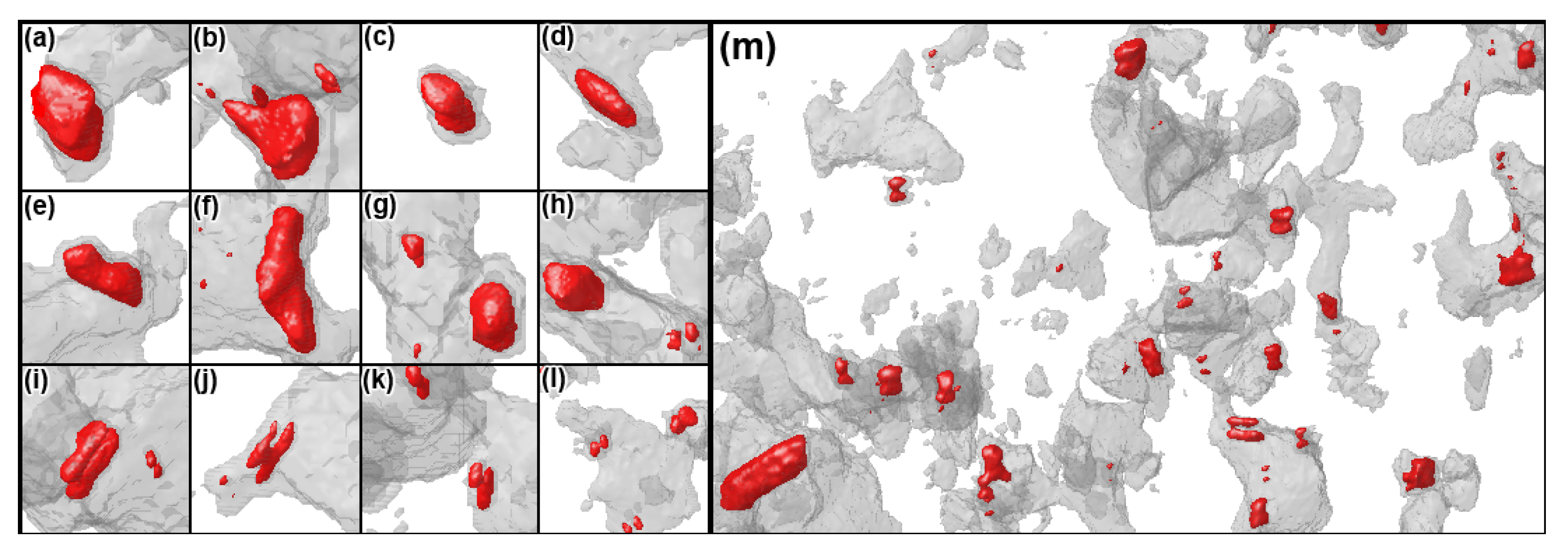 Minerals 15 00160 g005