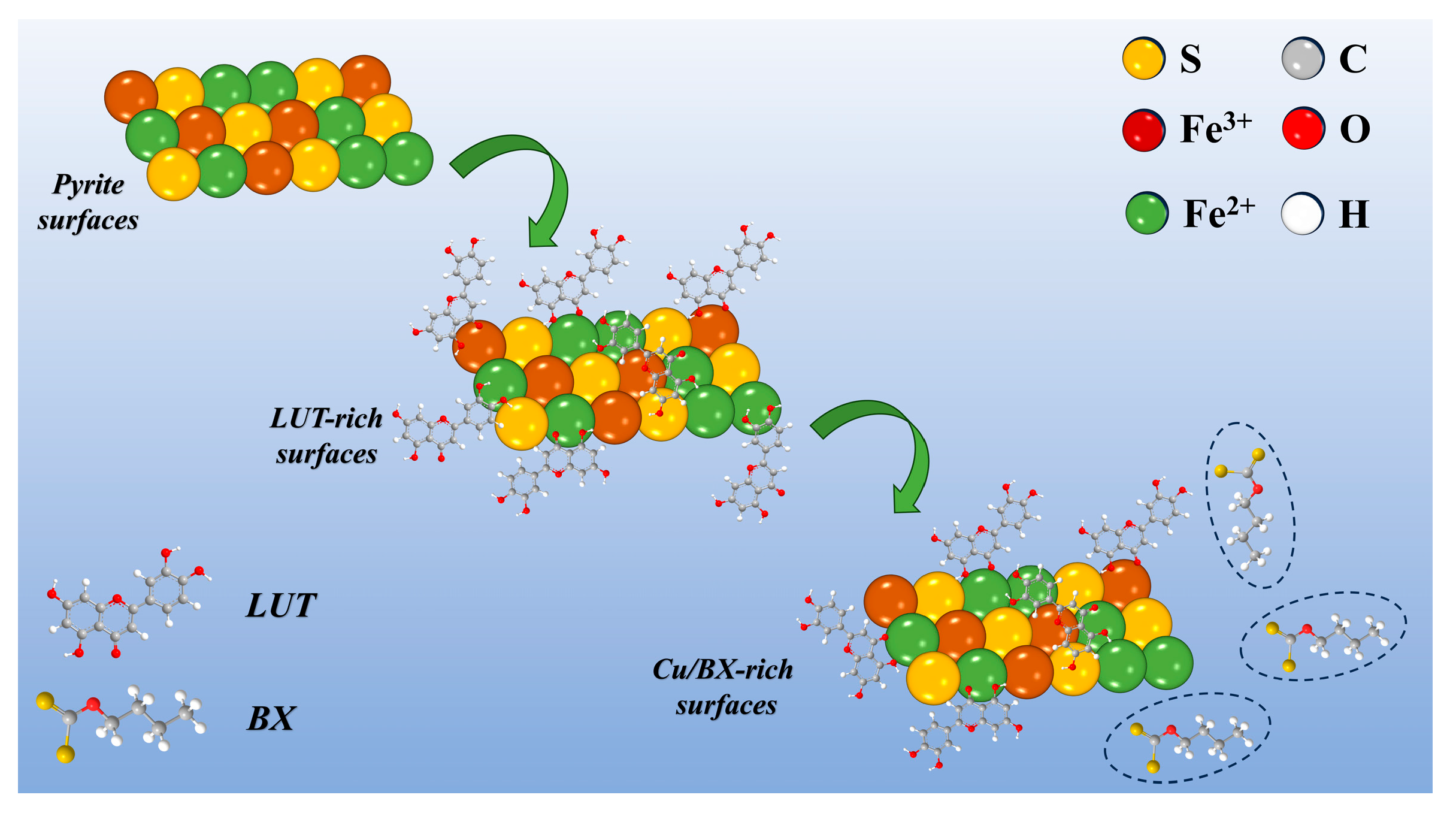 Minerals 15 00162 g009