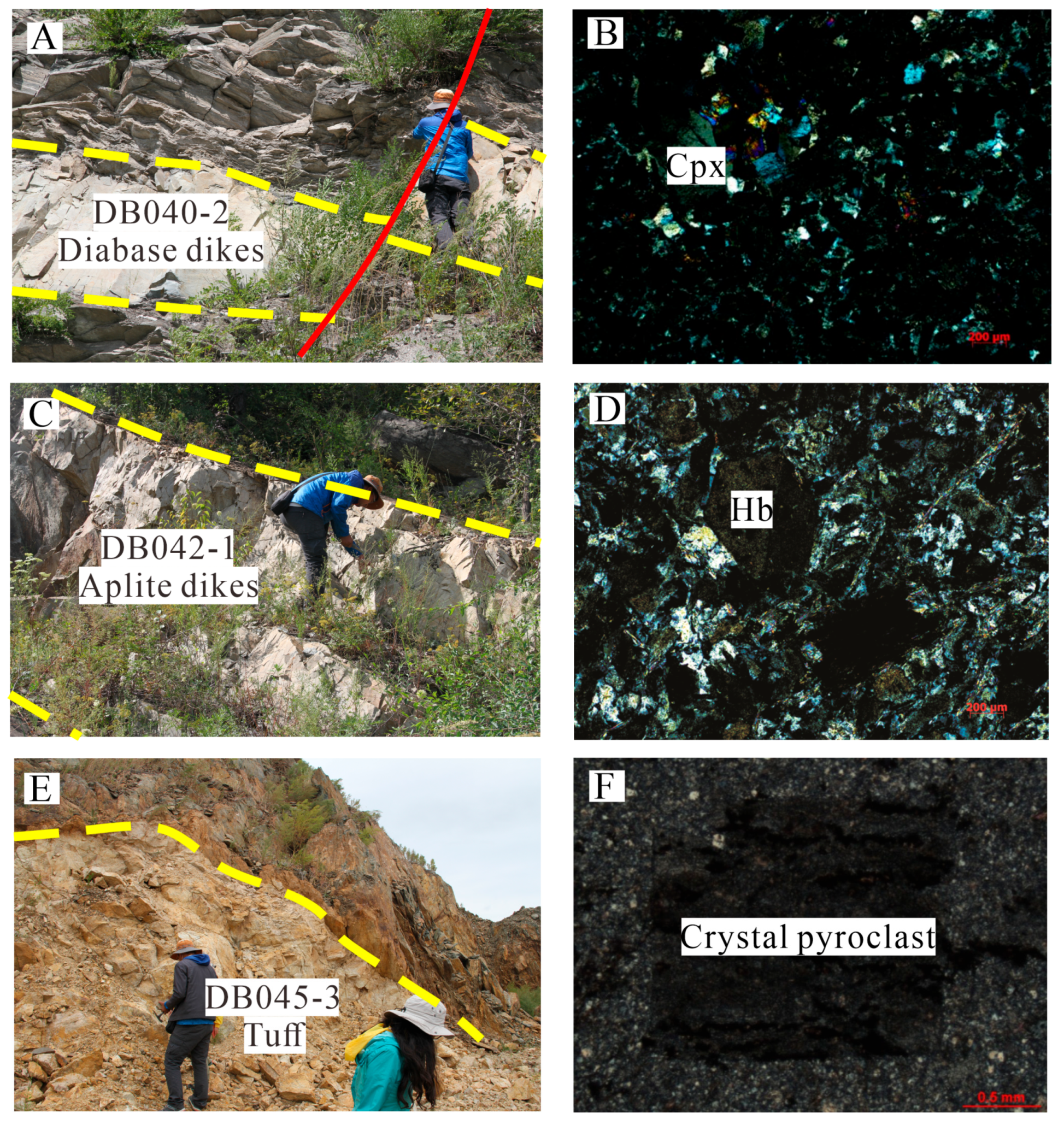 Minerals 15 00164 g005