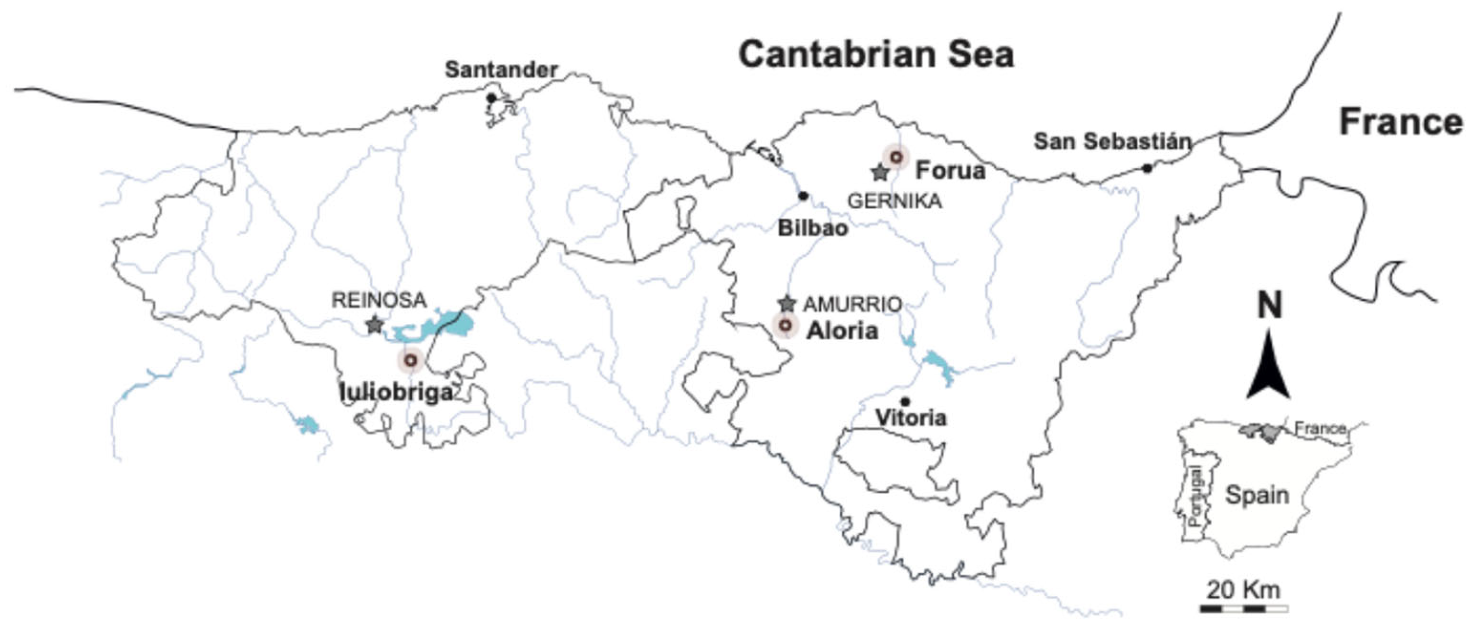 Minerals 15 00168 g001 Minerals 15 00168 g001