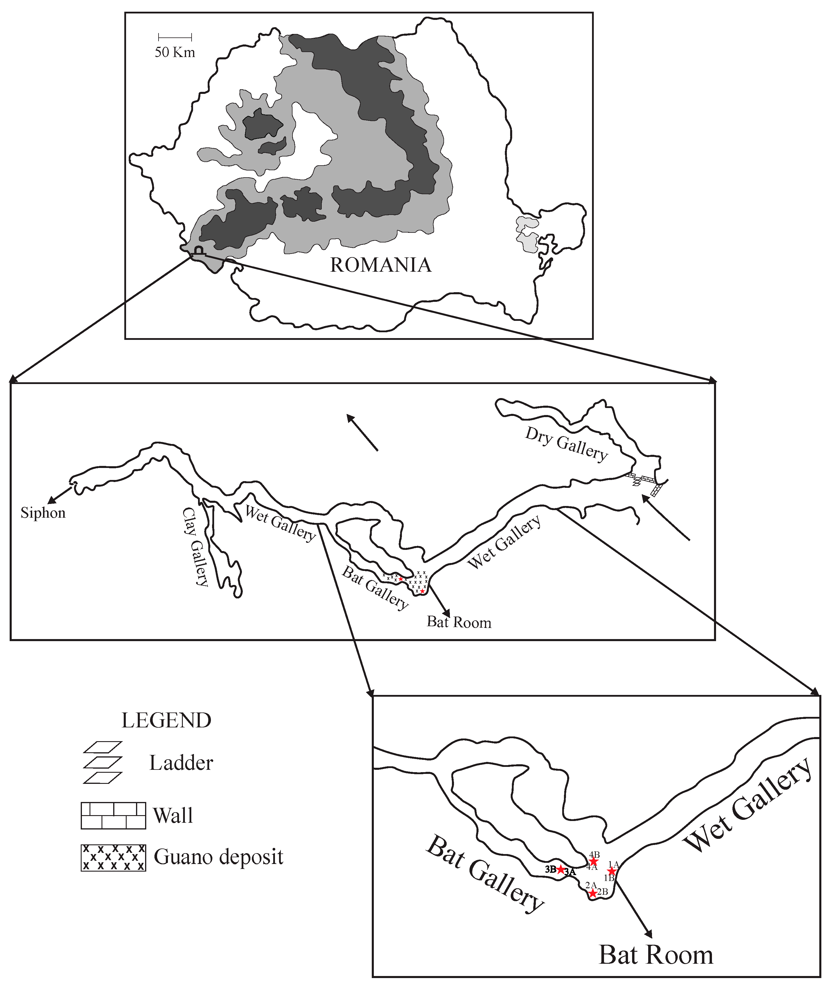 Minerals 15 00180 g001