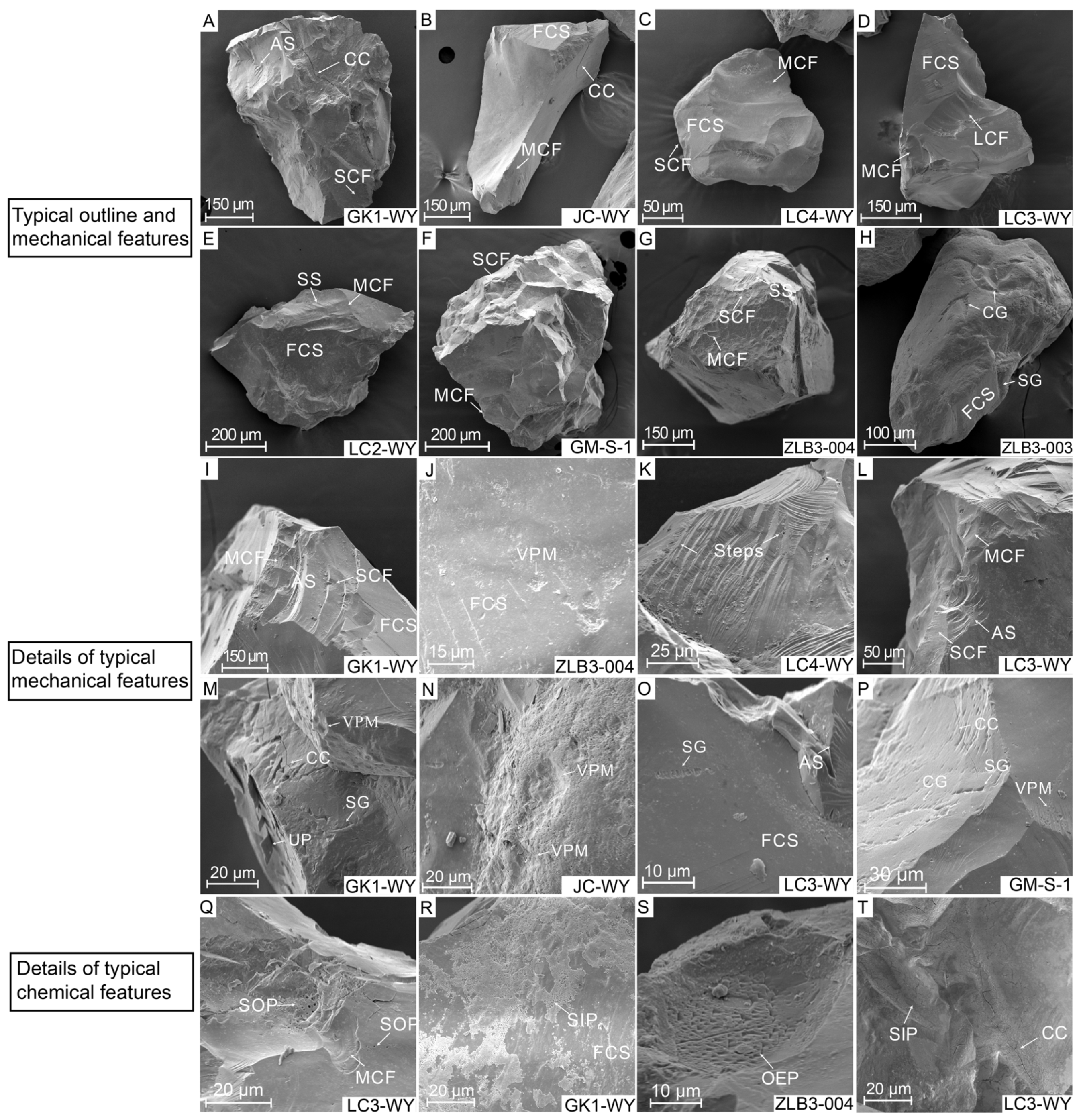 Minerals 15 00183 g004
