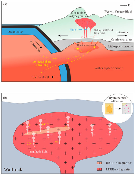 スロープ ⑱ Sources and Enrichment Mechanisms of Rare-Earth Elements in