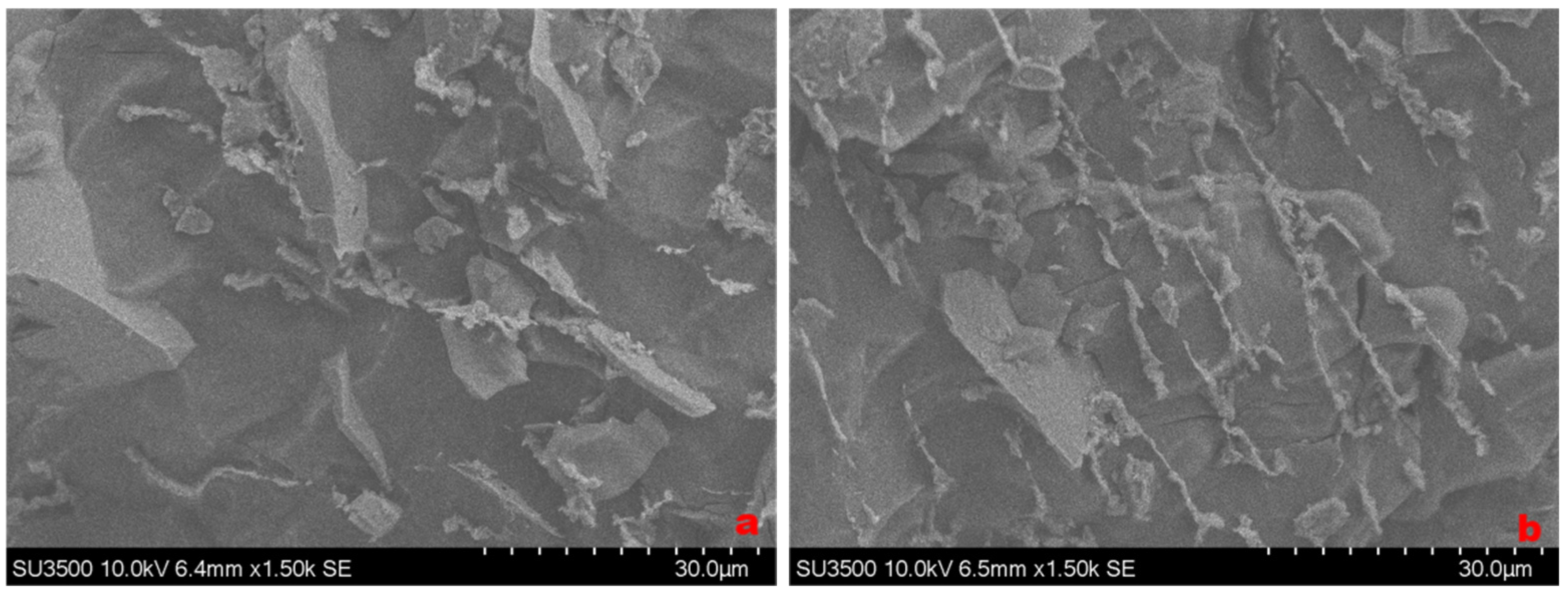 Minerals 15 00187 g007