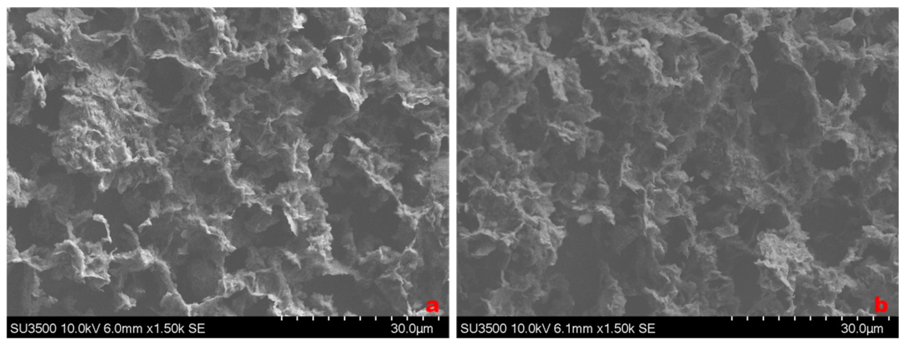 Minerals 15 00187 g008