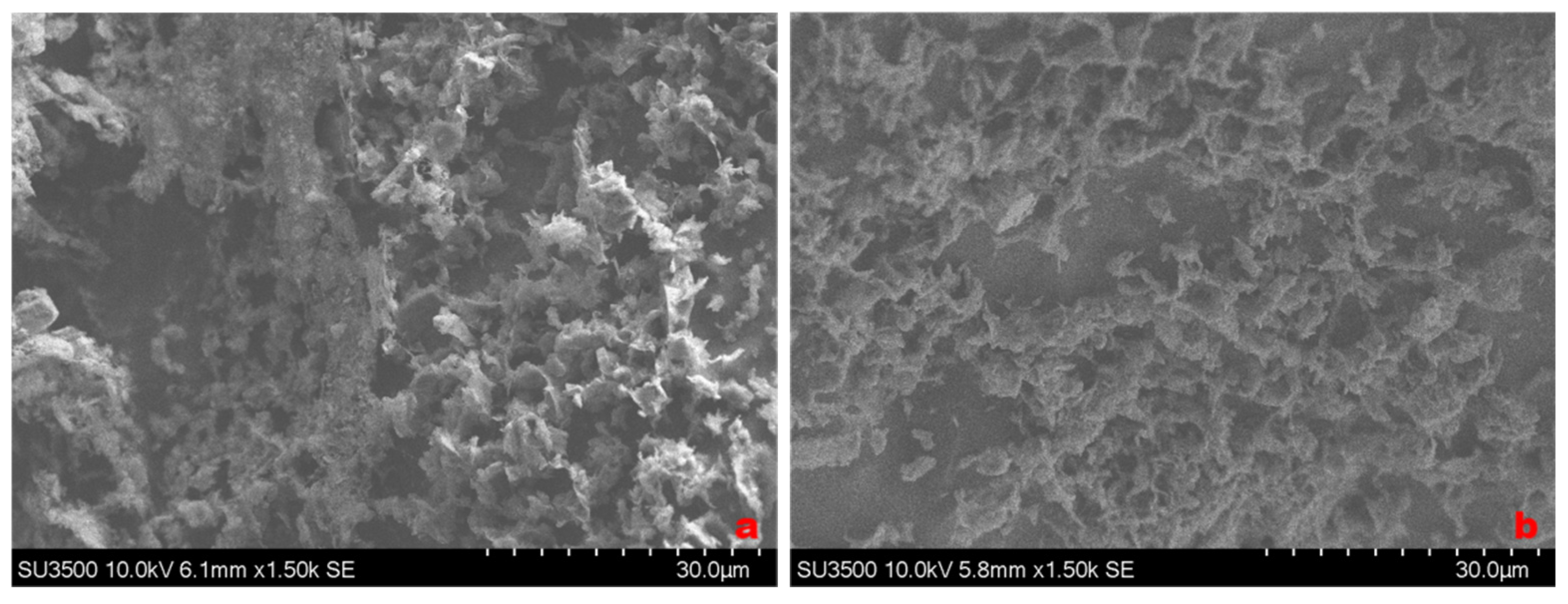 Minerals 15 00187 g011