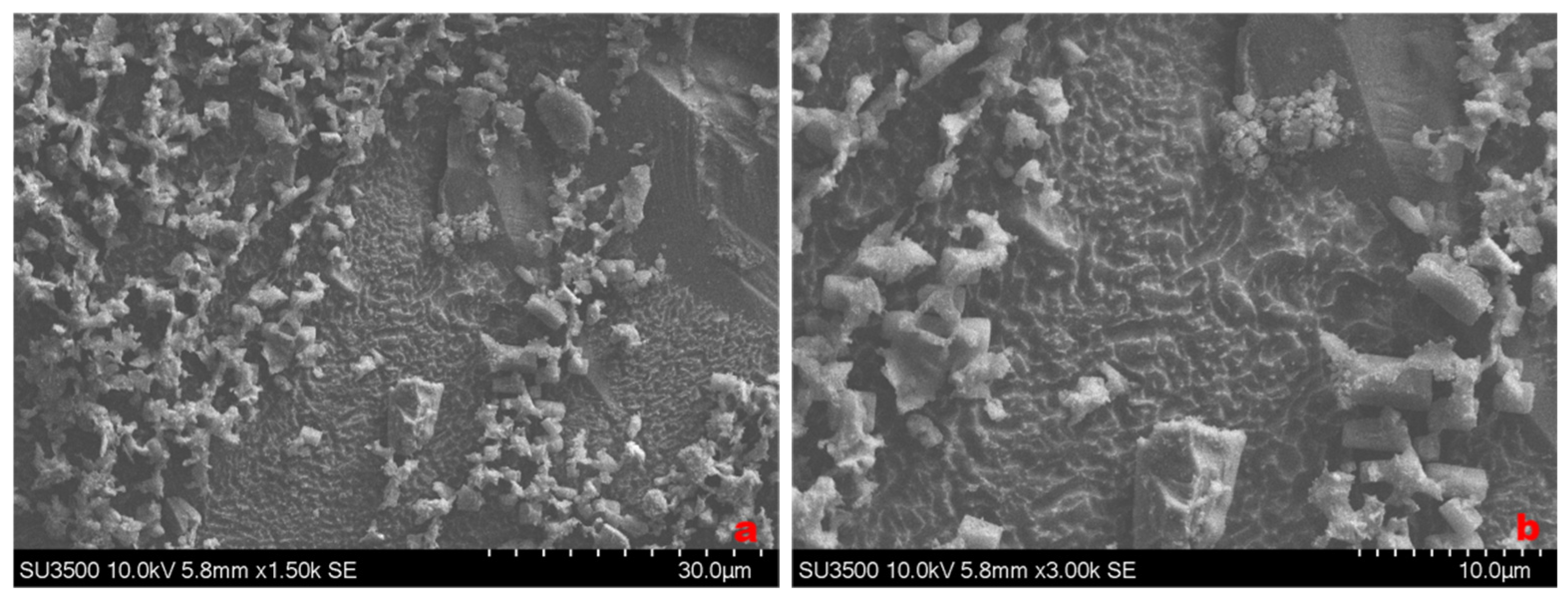 Minerals 15 00187 g012